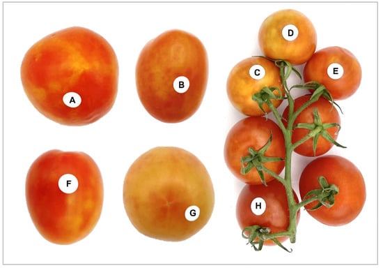 Viruses 15 02305 g001