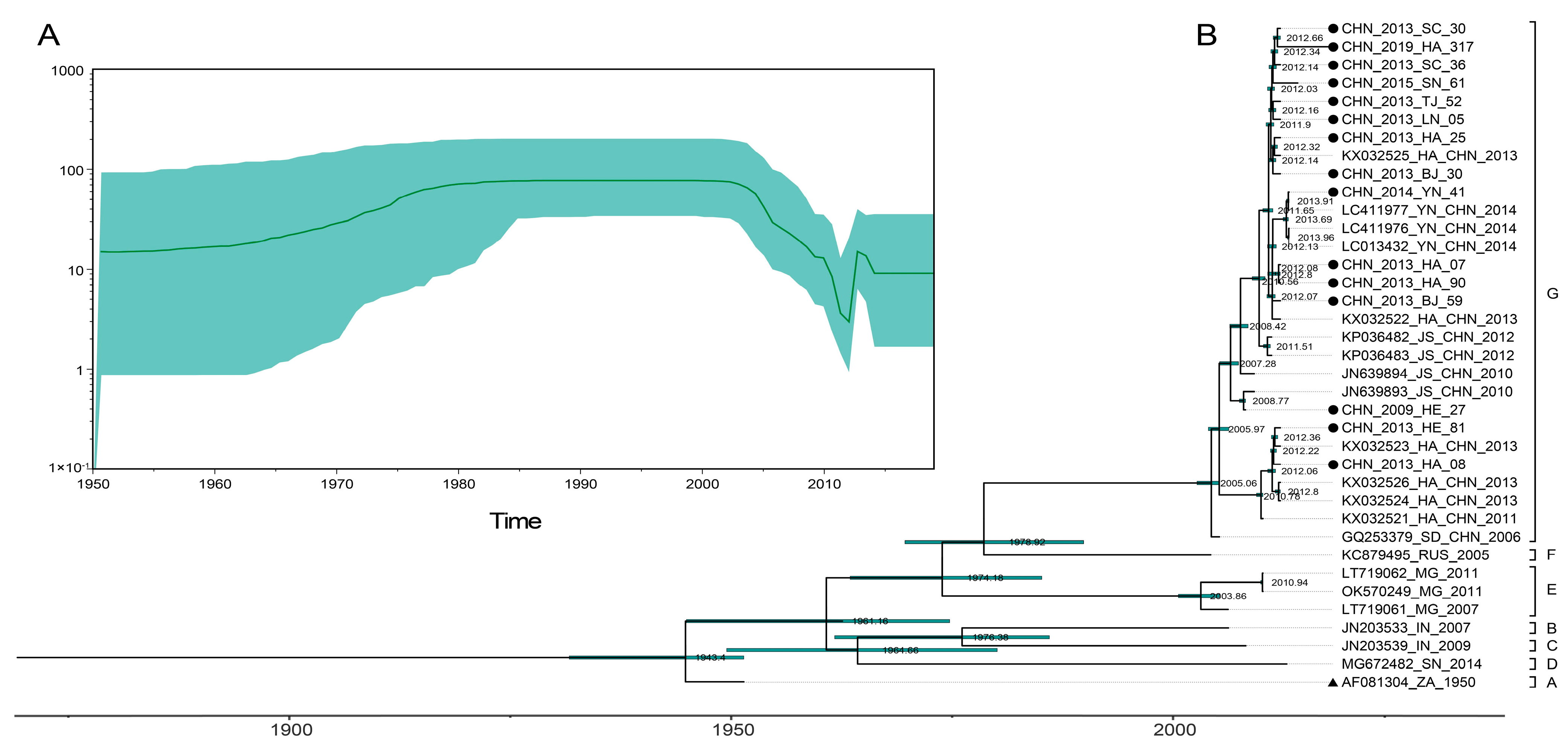 Viruses 15 02323 g001