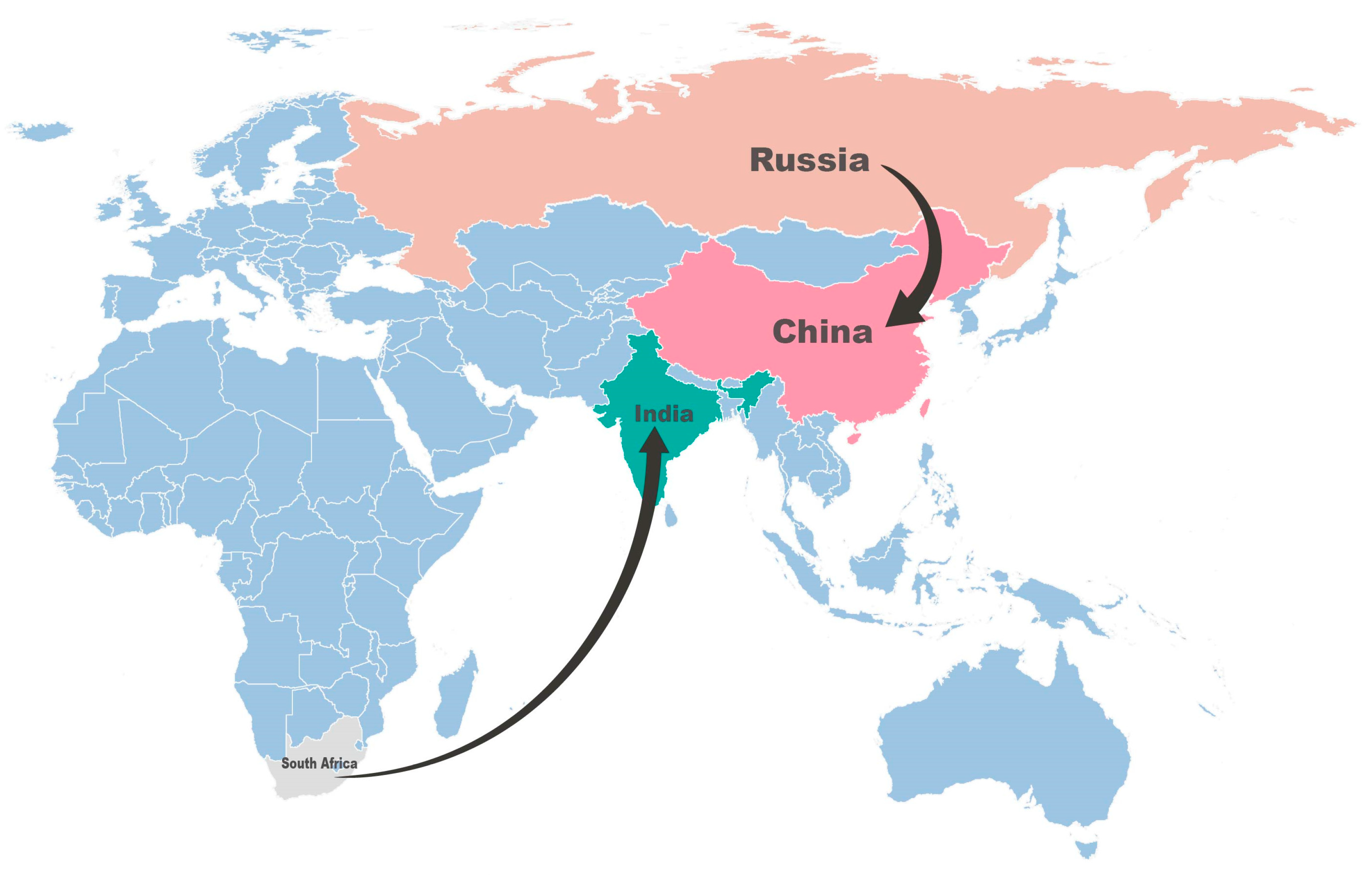 Viruses 15 02323 g002