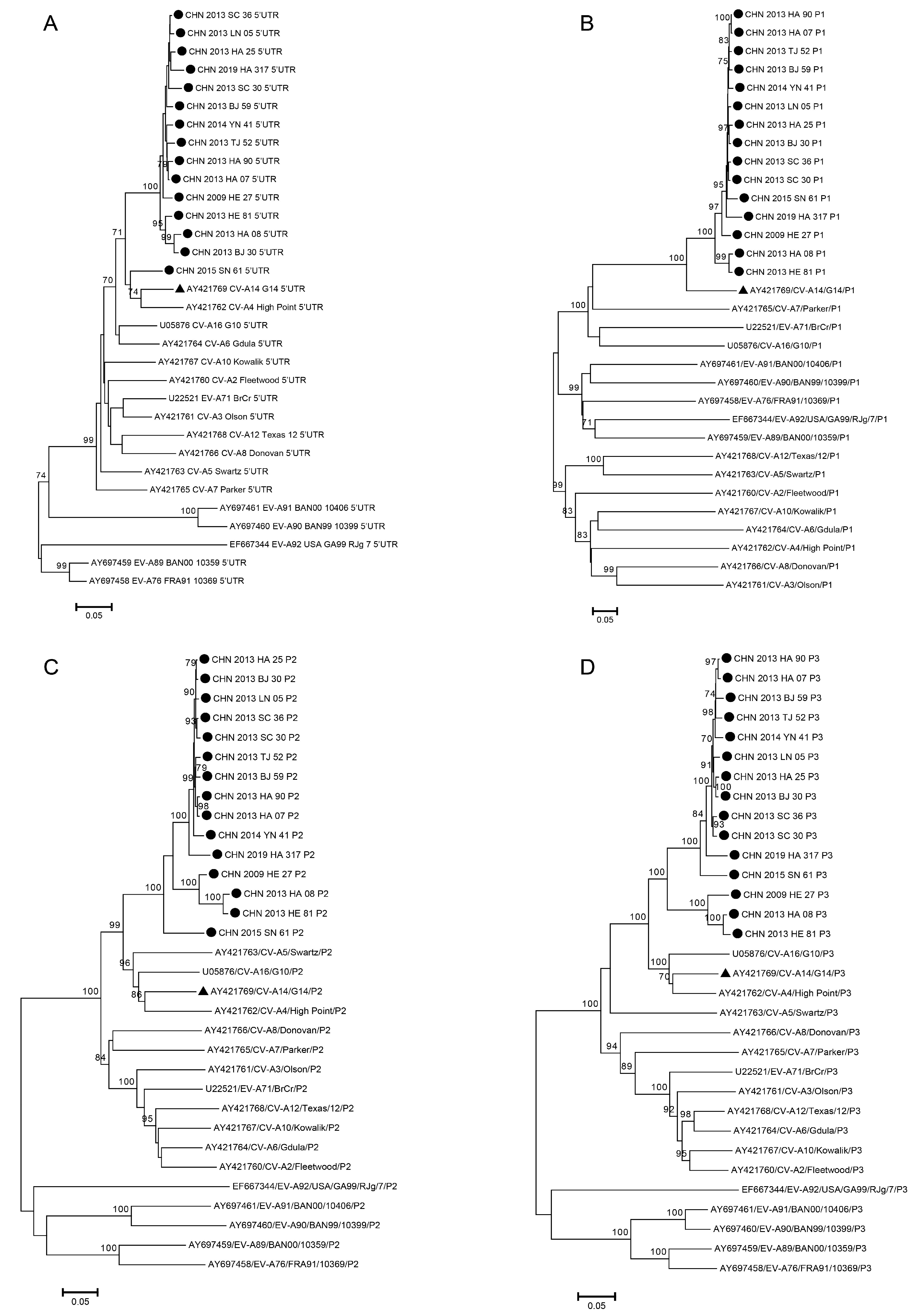 Viruses 15 02323 g004