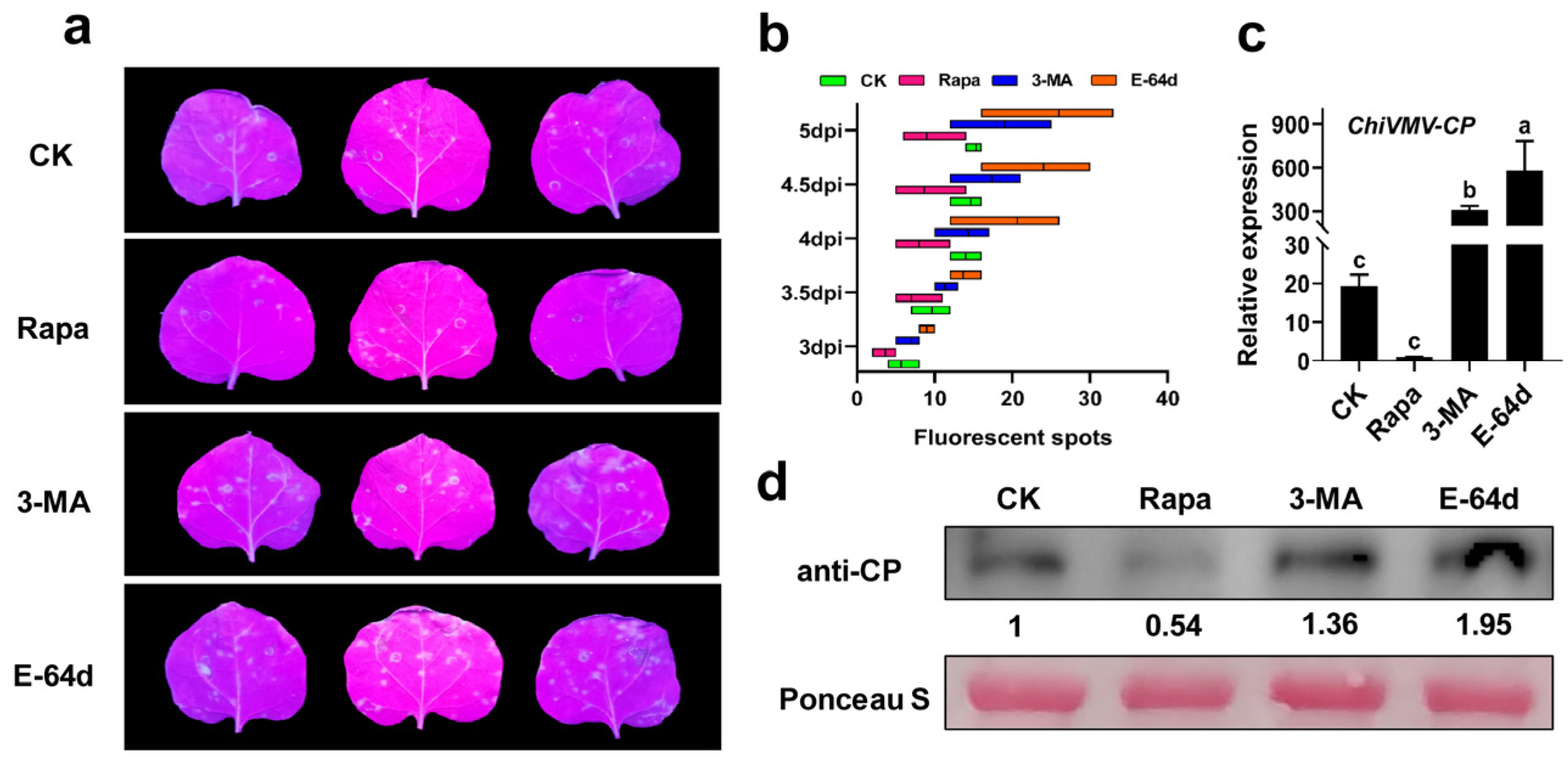 Viruses 15 02324 g002