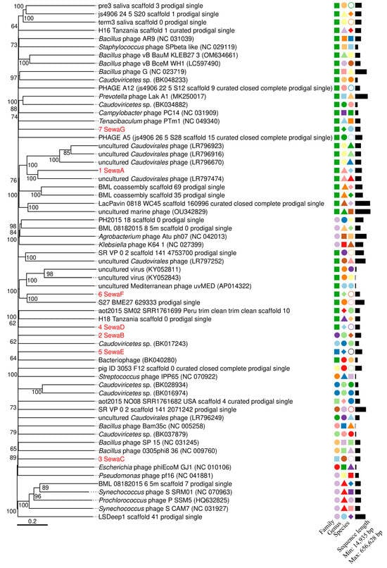Viruses 15 02330 g001