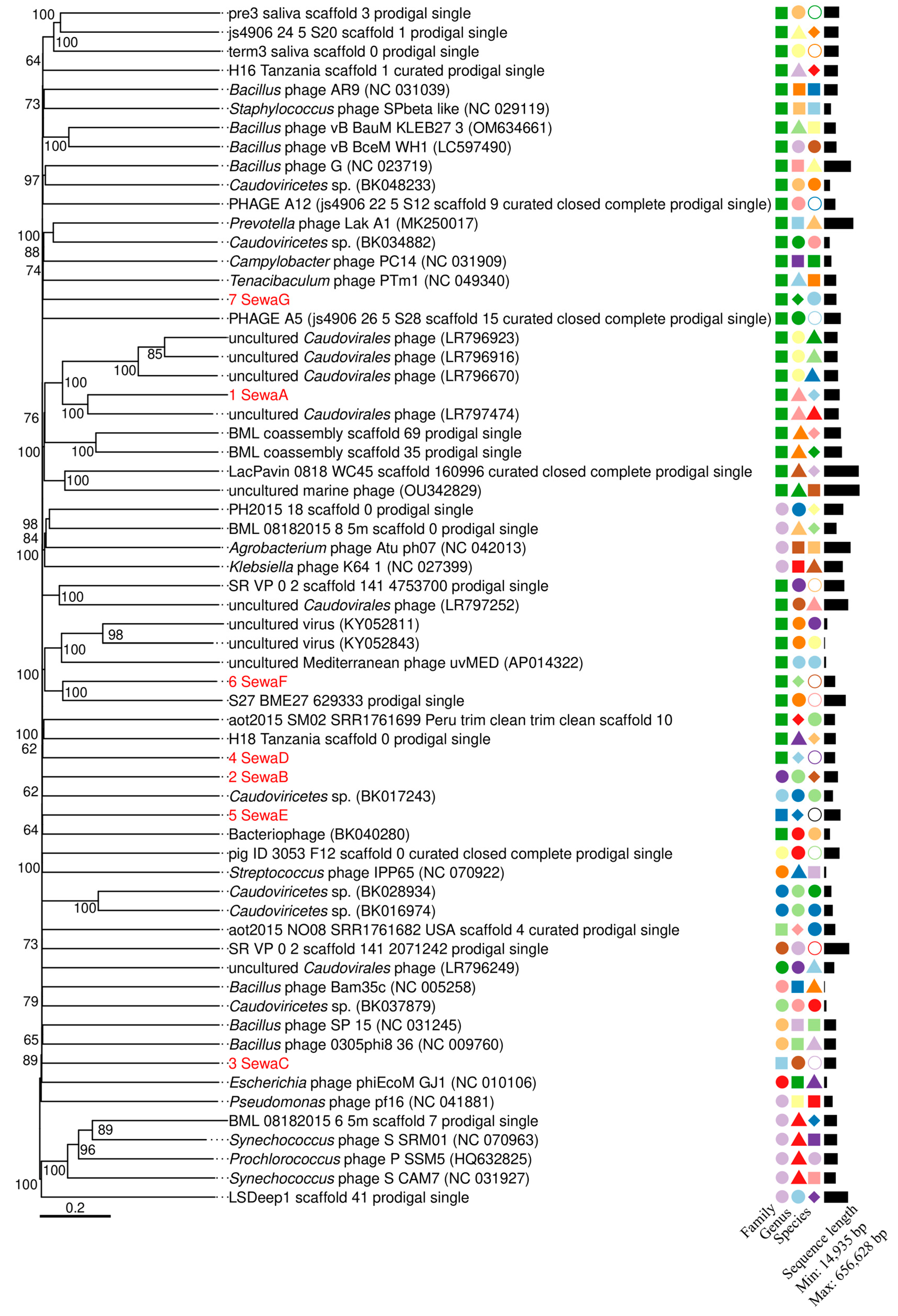 Viruses 15 02330 g001