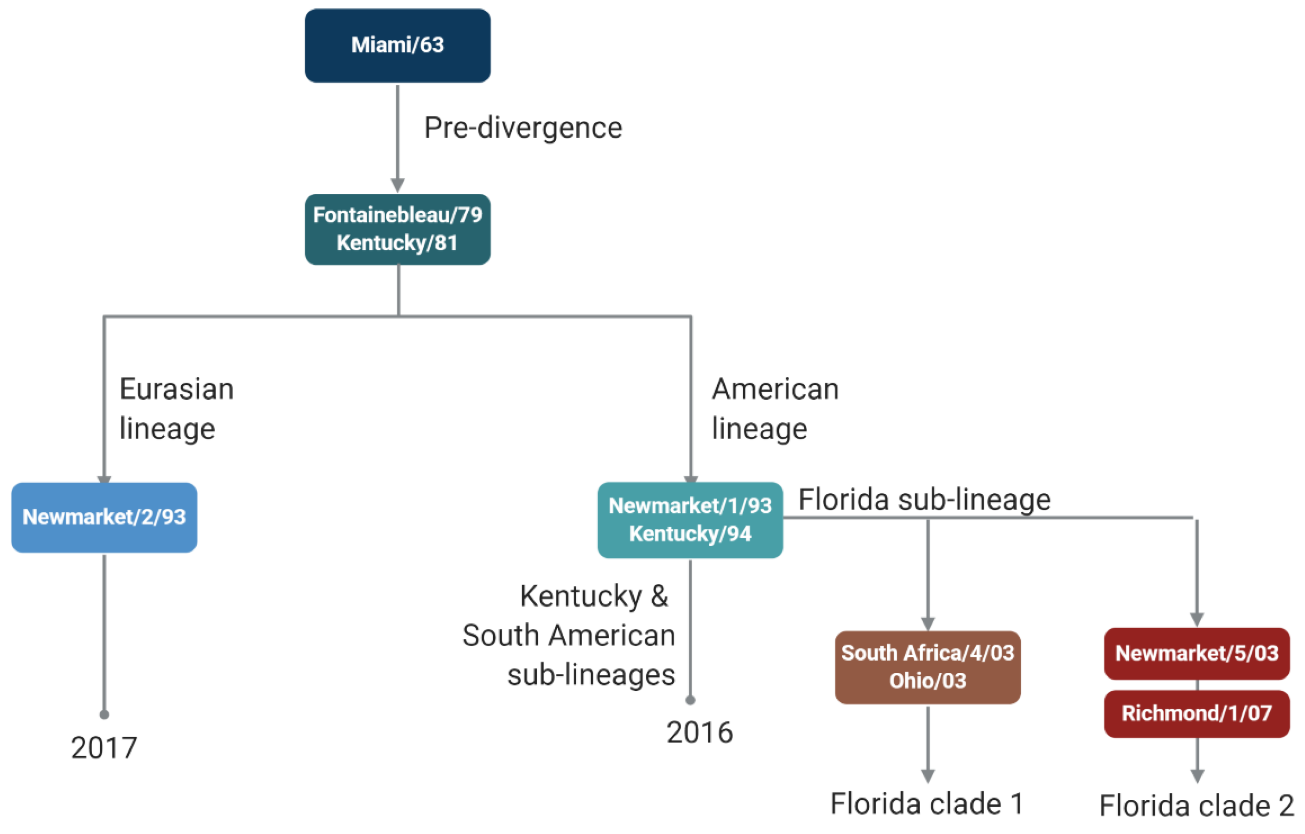 Viruses 15 02337 g001