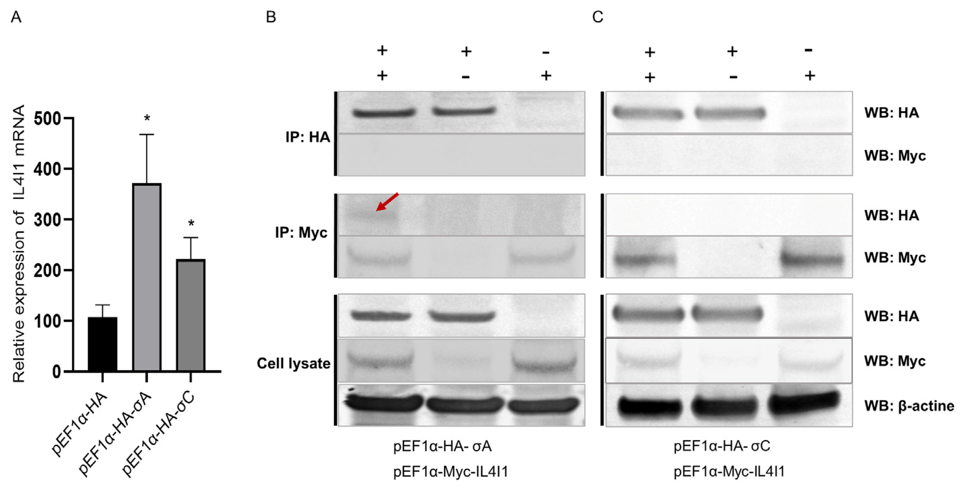Viruses 15 02346 g007