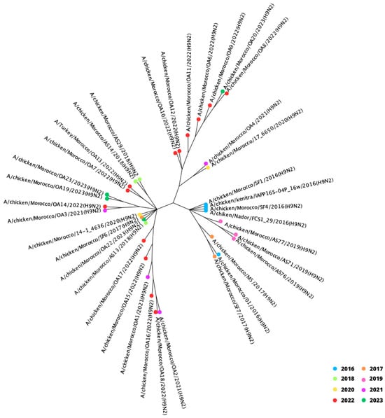 Viruses 15 02355 g0a1