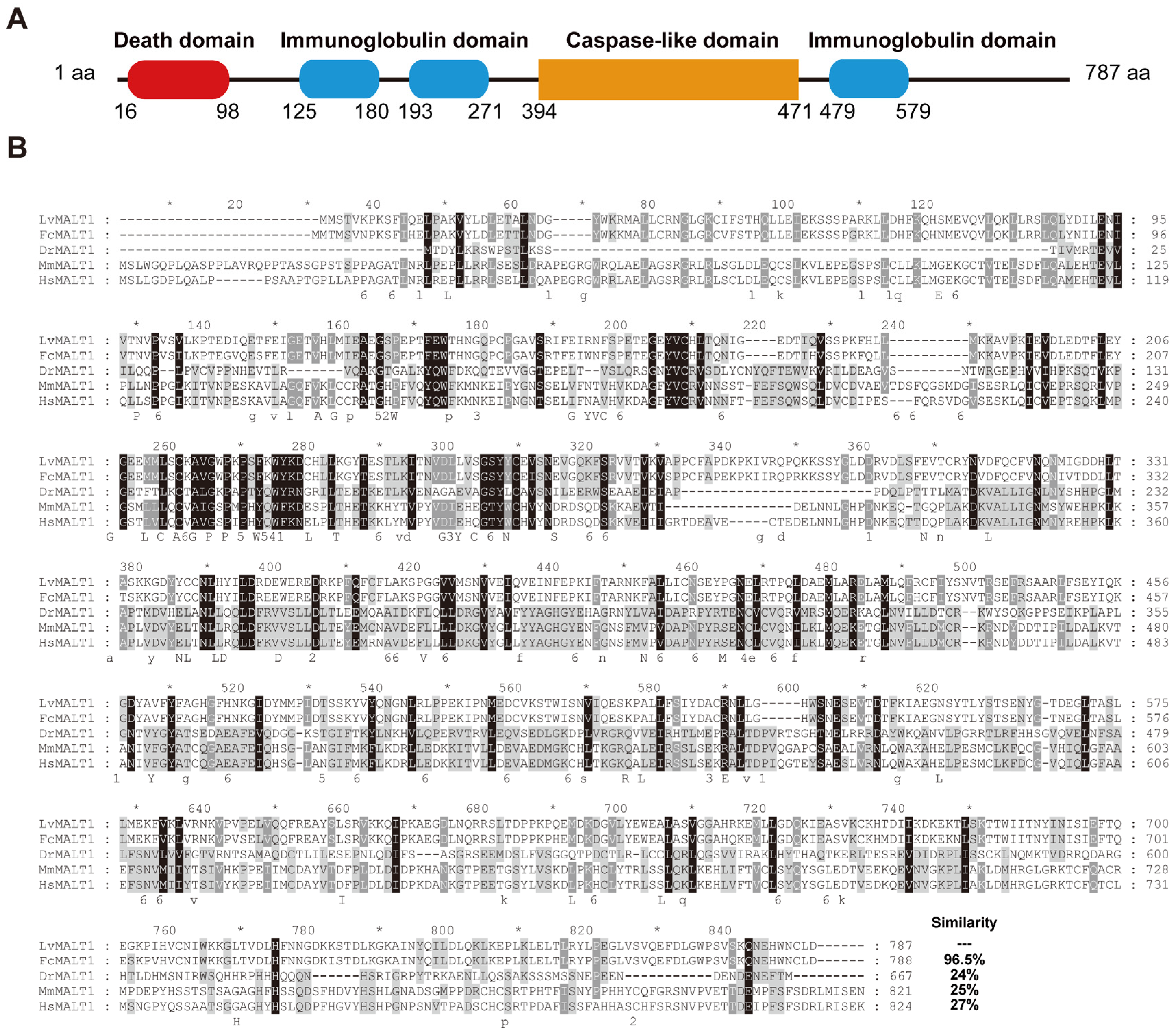 Viruses 15 02361 g001