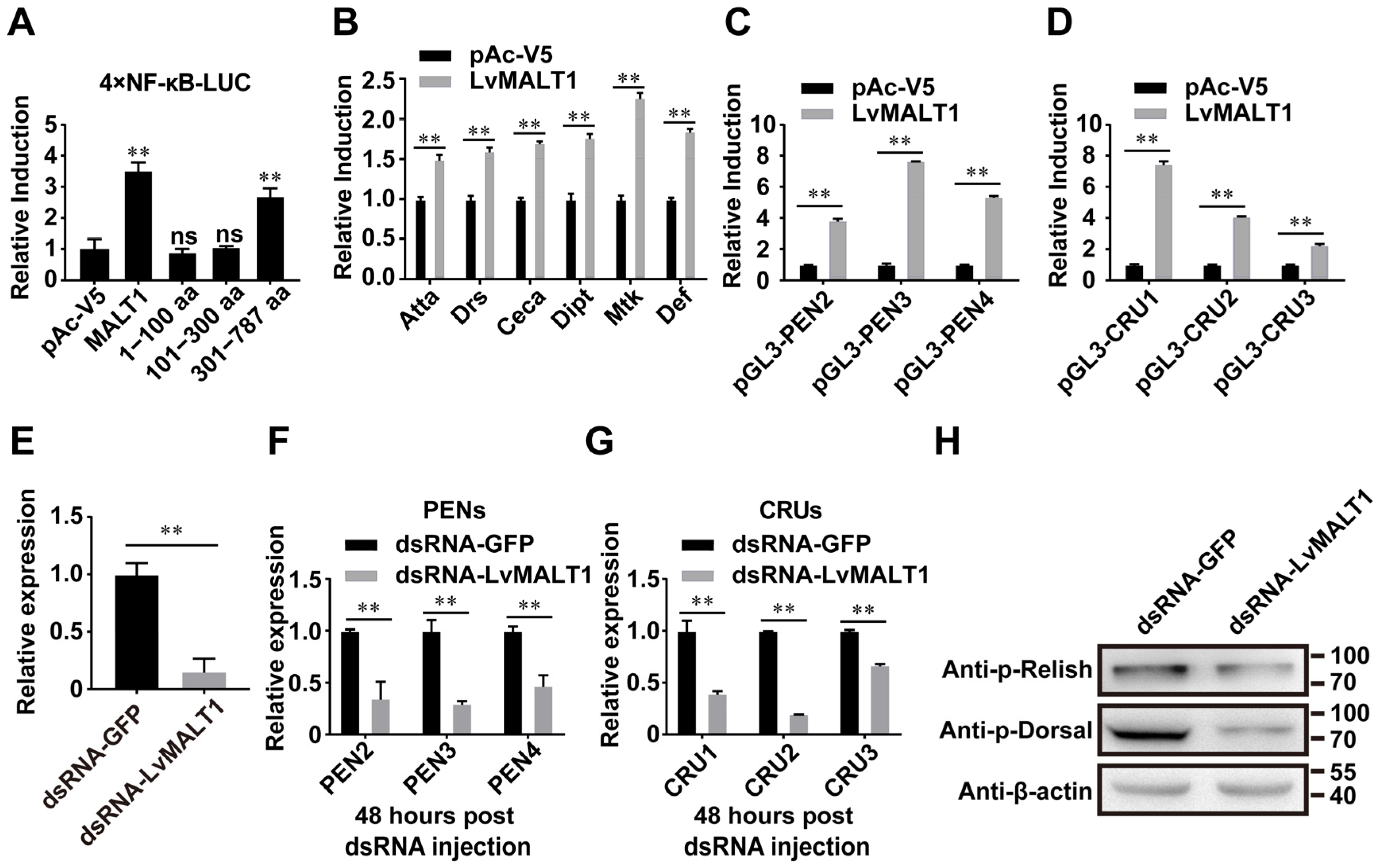 Viruses 15 02361 g005