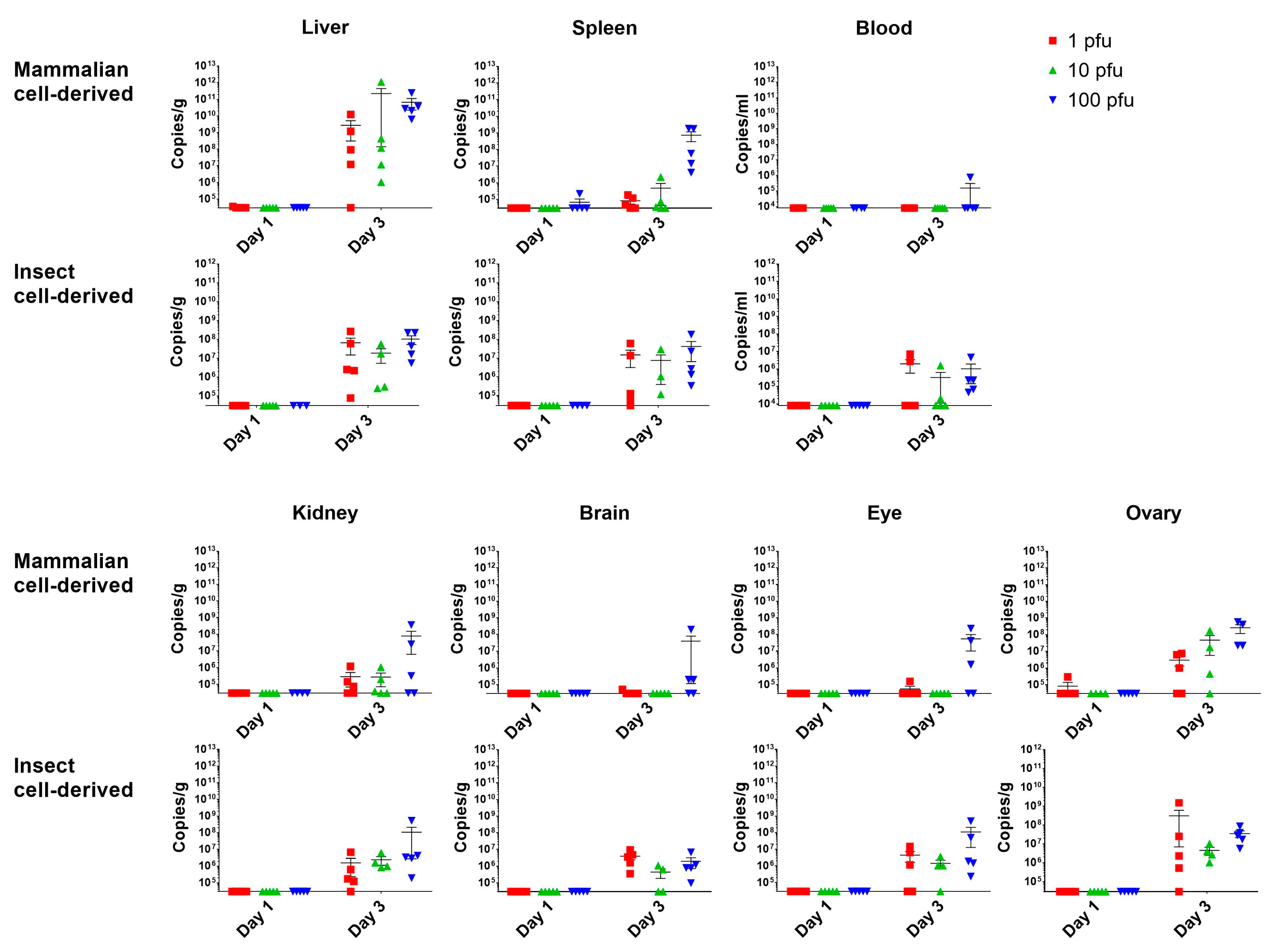 Viruses 15 02369 g002