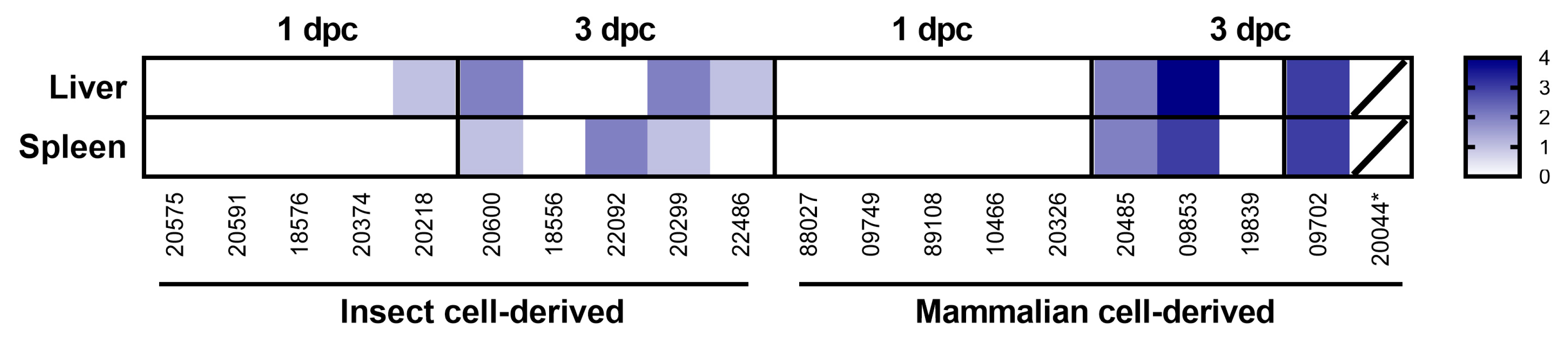 Viruses 15 02369 g003