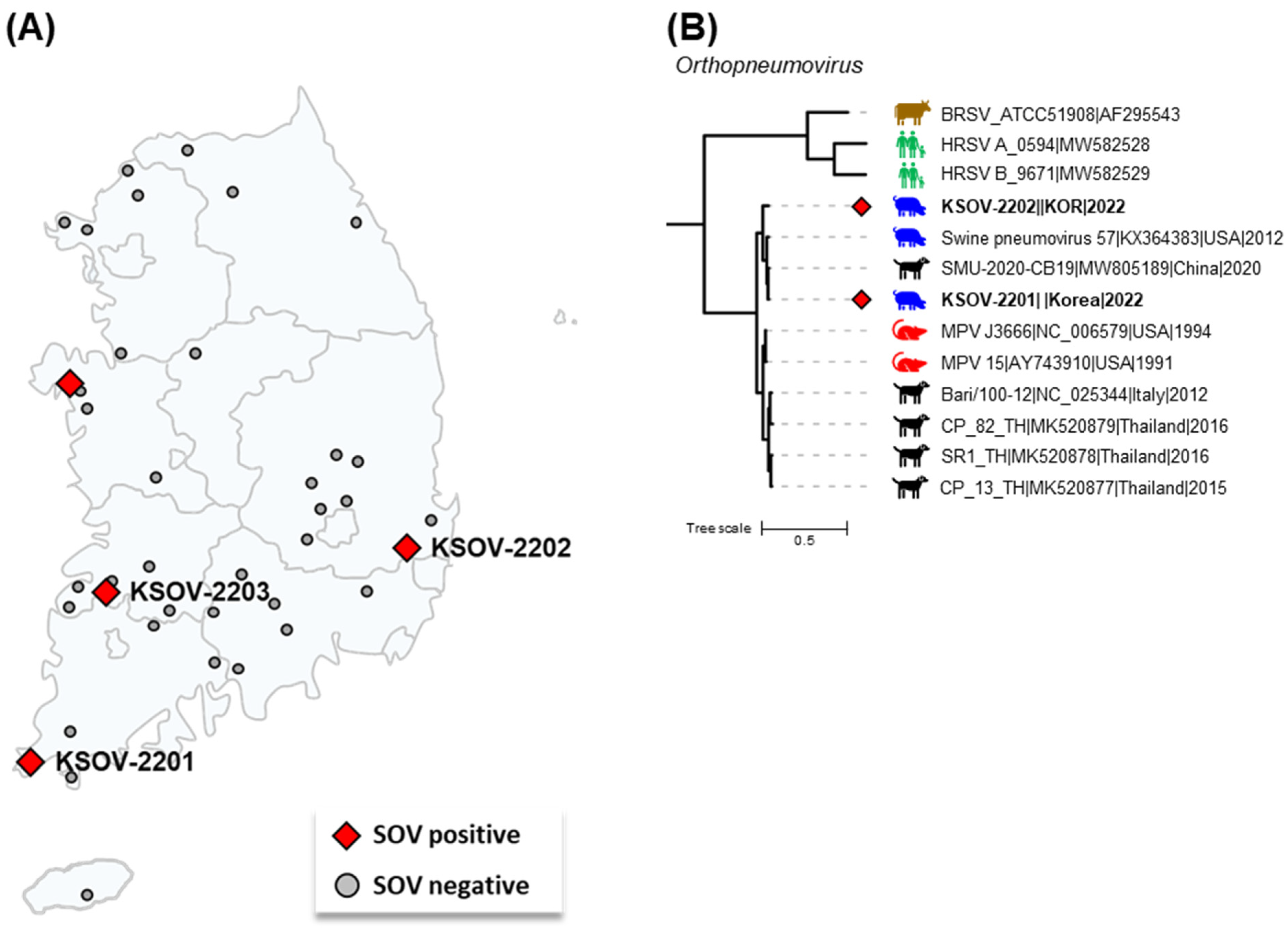 Viruses 15 02371 g001