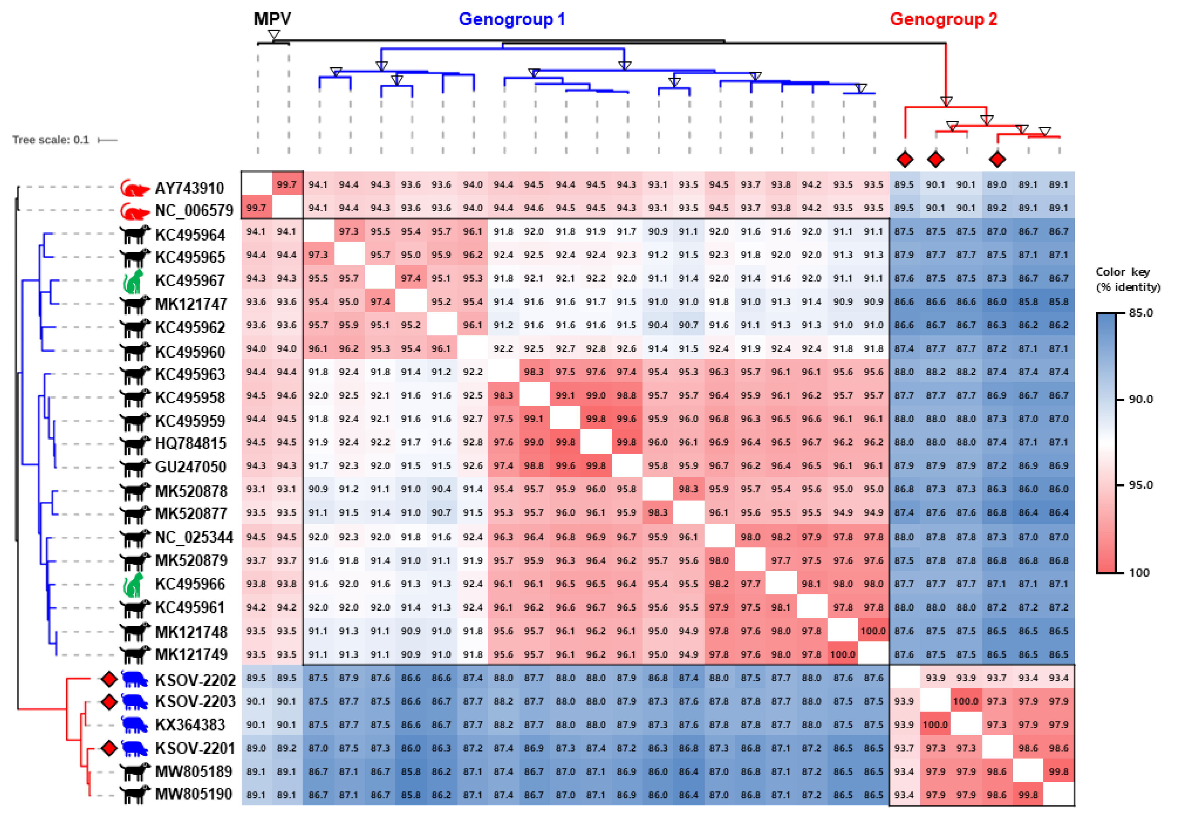 Viruses 15 02371 g002