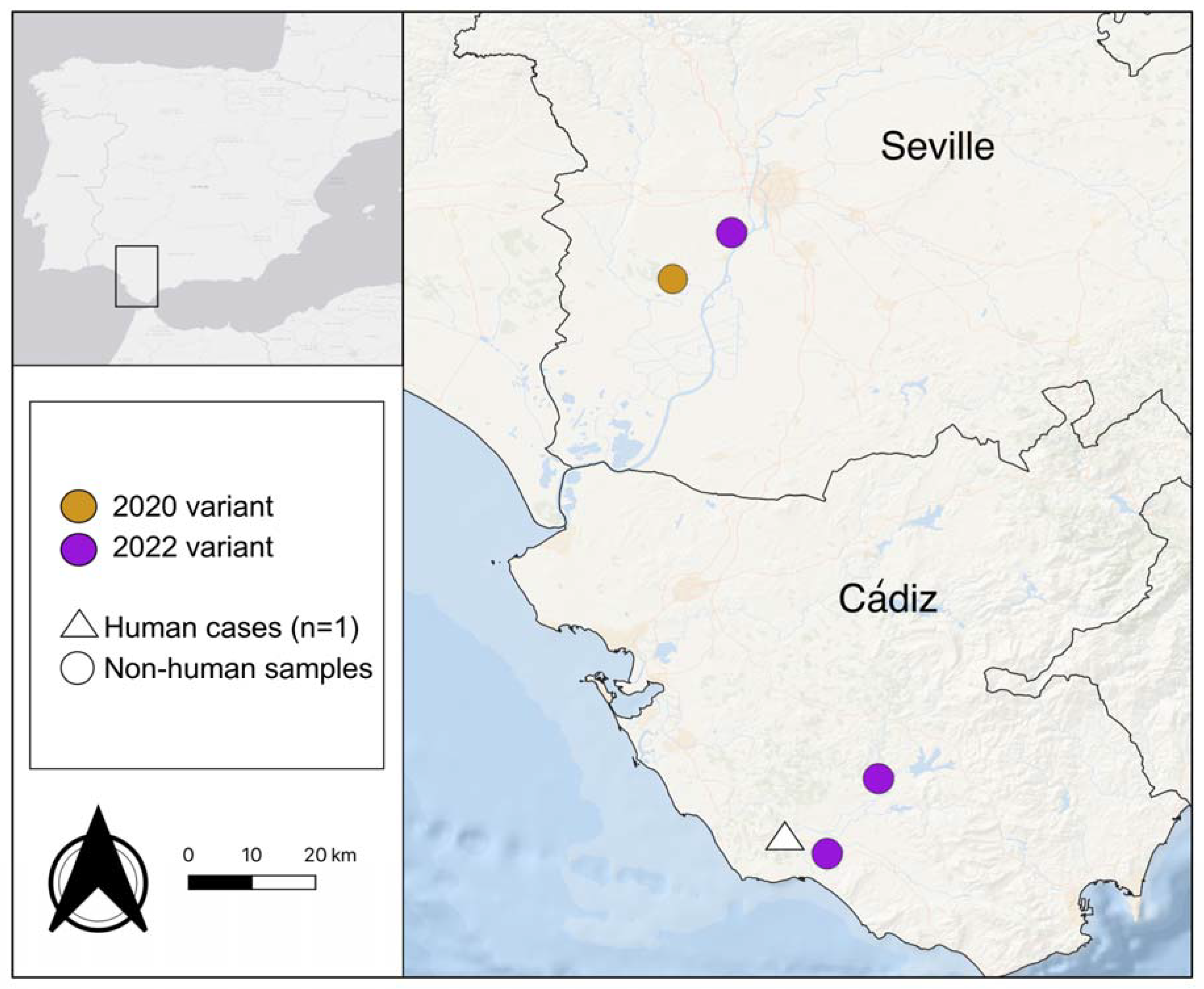 Viruses 15 02372 g001