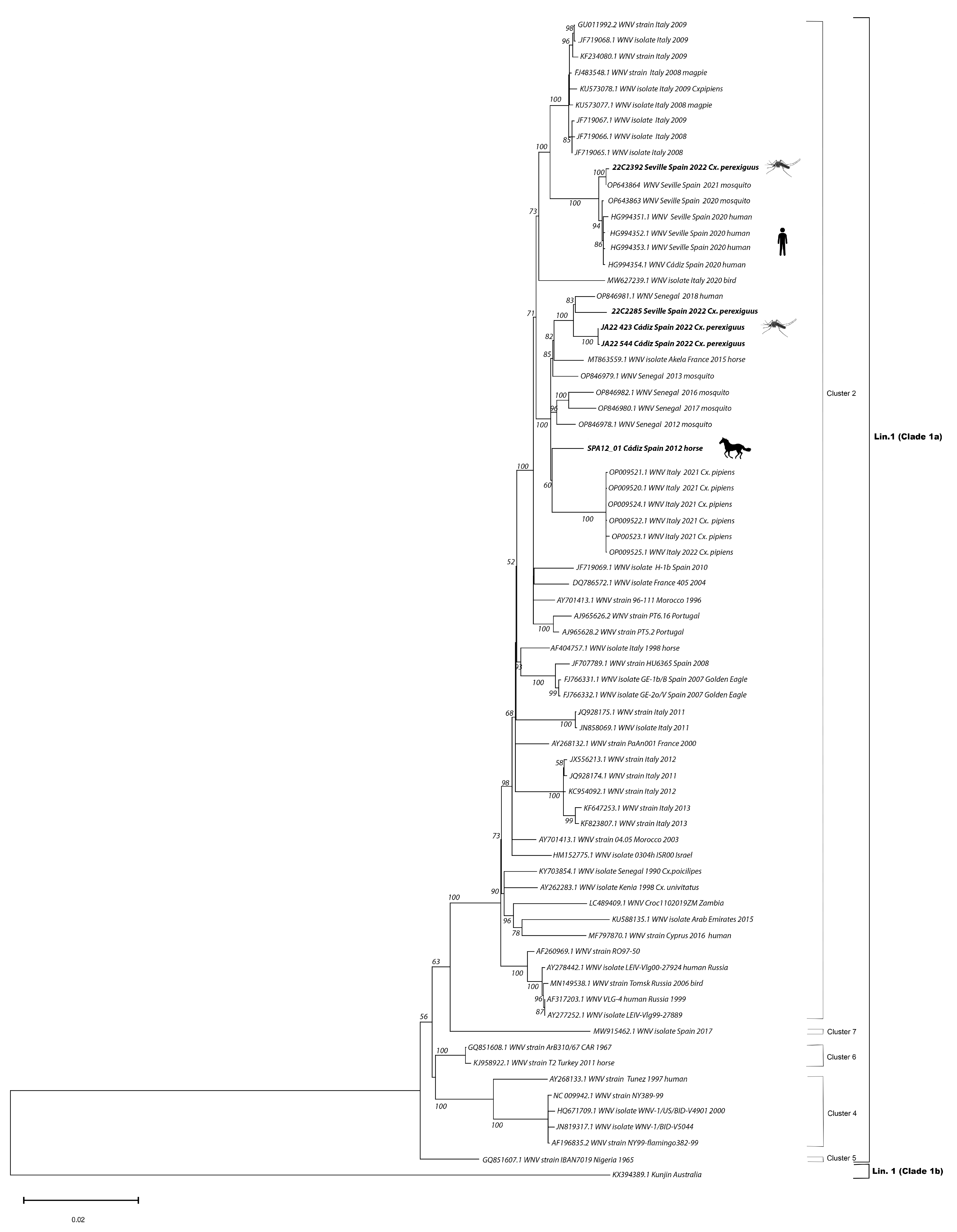 Viruses 15 02372 g002