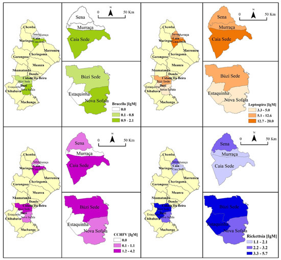 Viruses 15 02379 g0a1