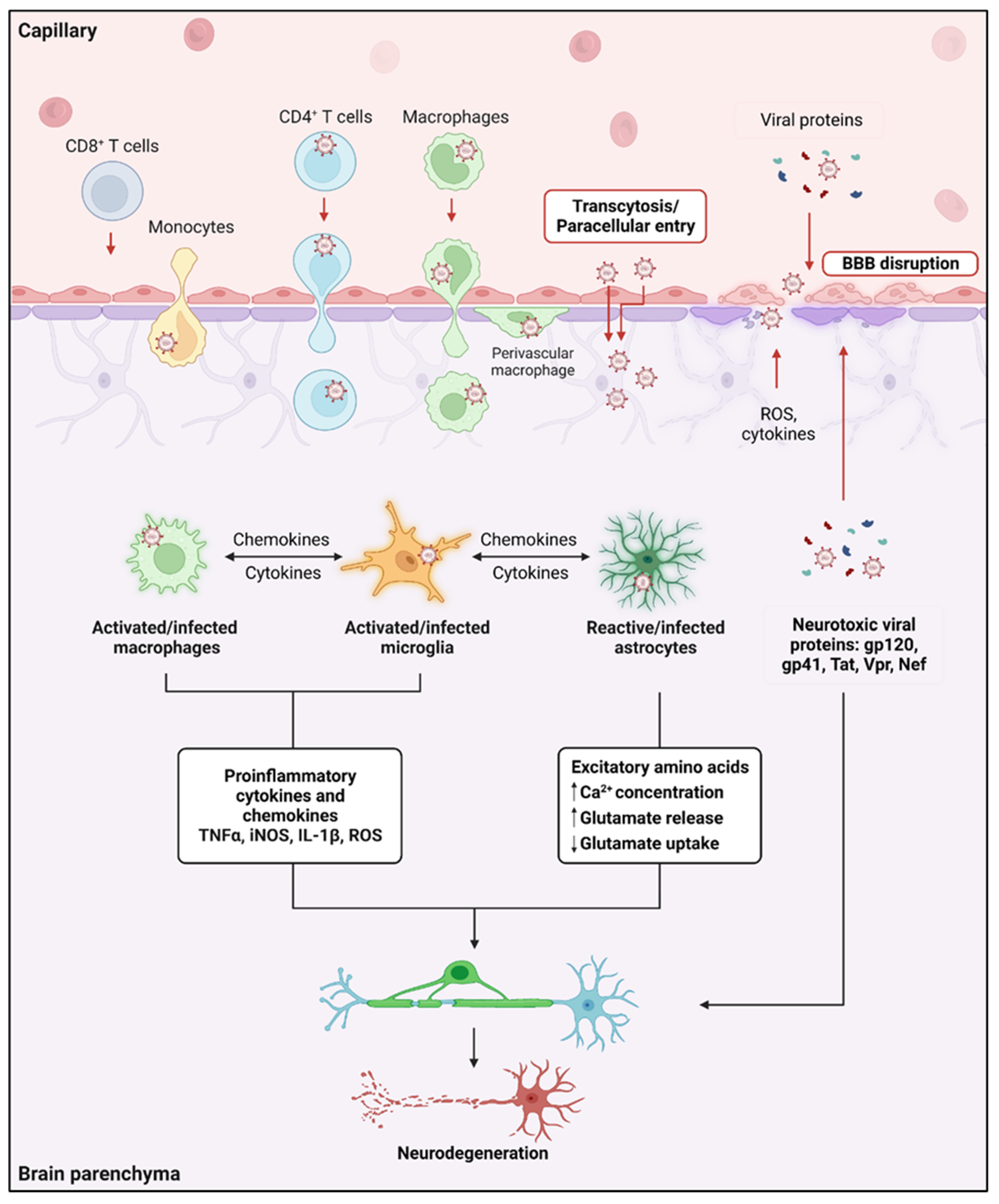 Viruses 15 02385 g001
