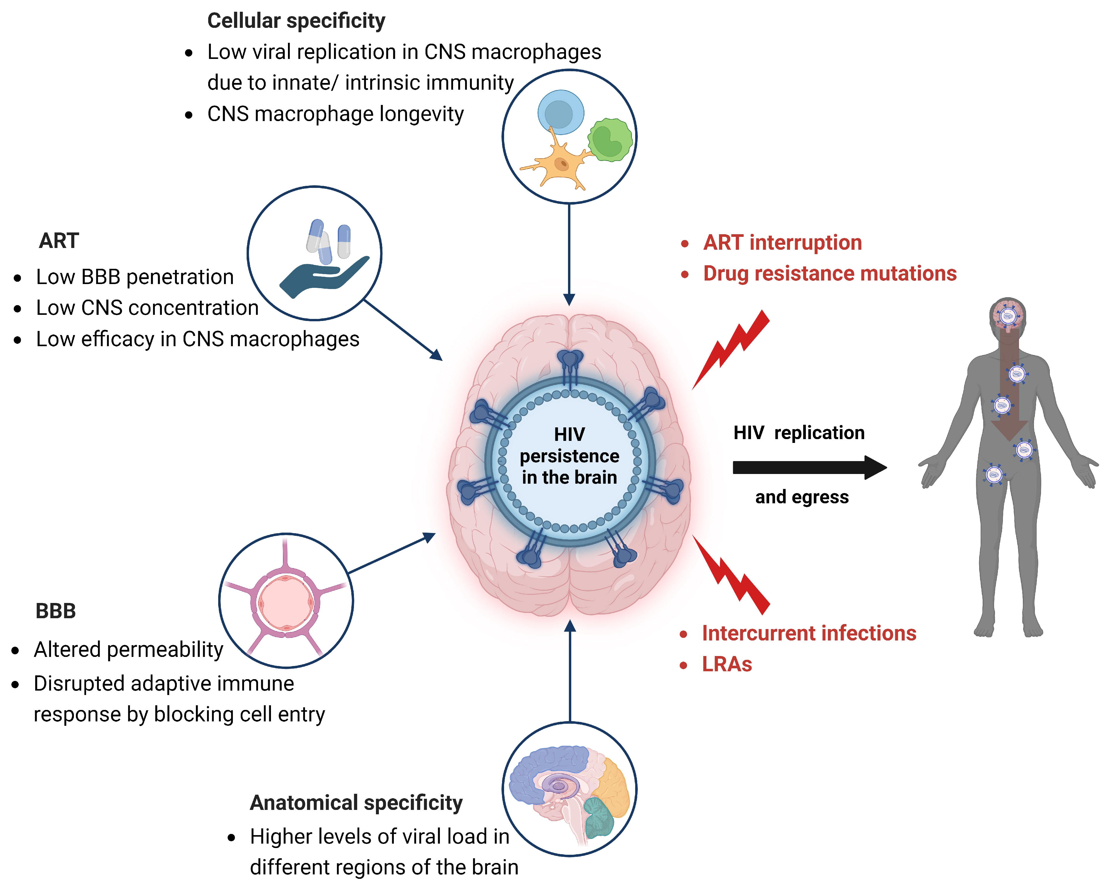 Viruses 15 02385 g002