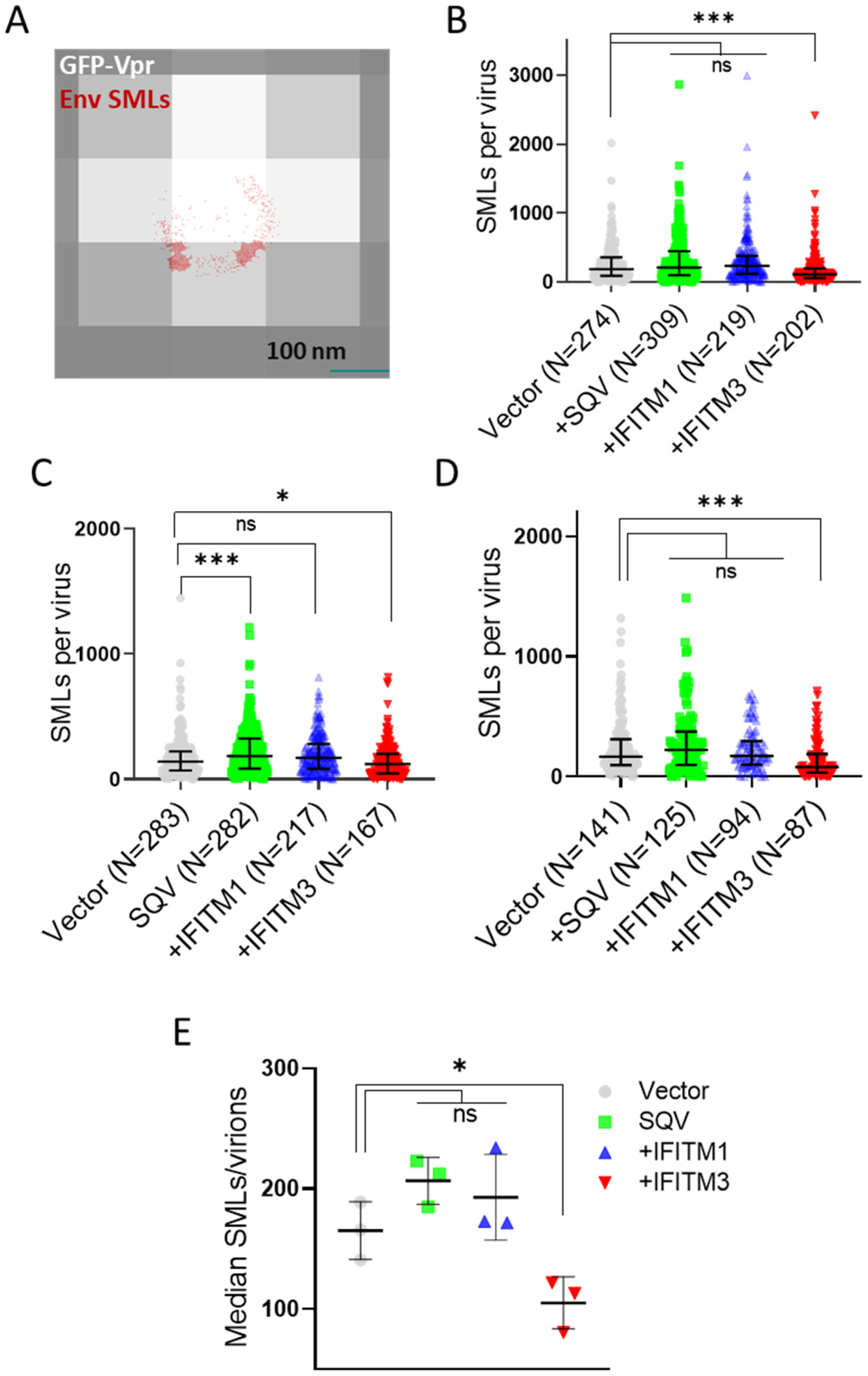 Viruses 15 02390 g003