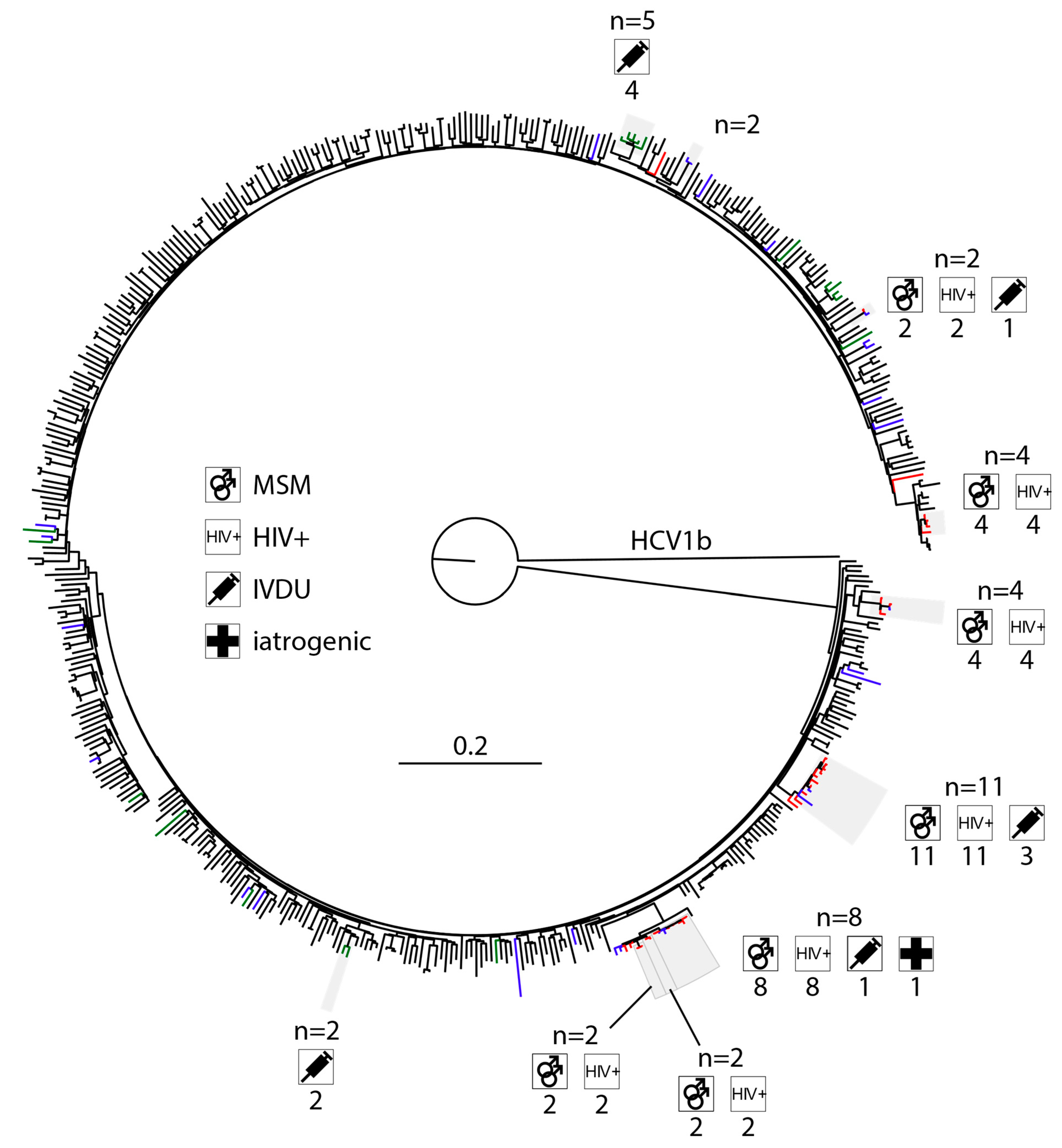 Viruses 15 02391 g001