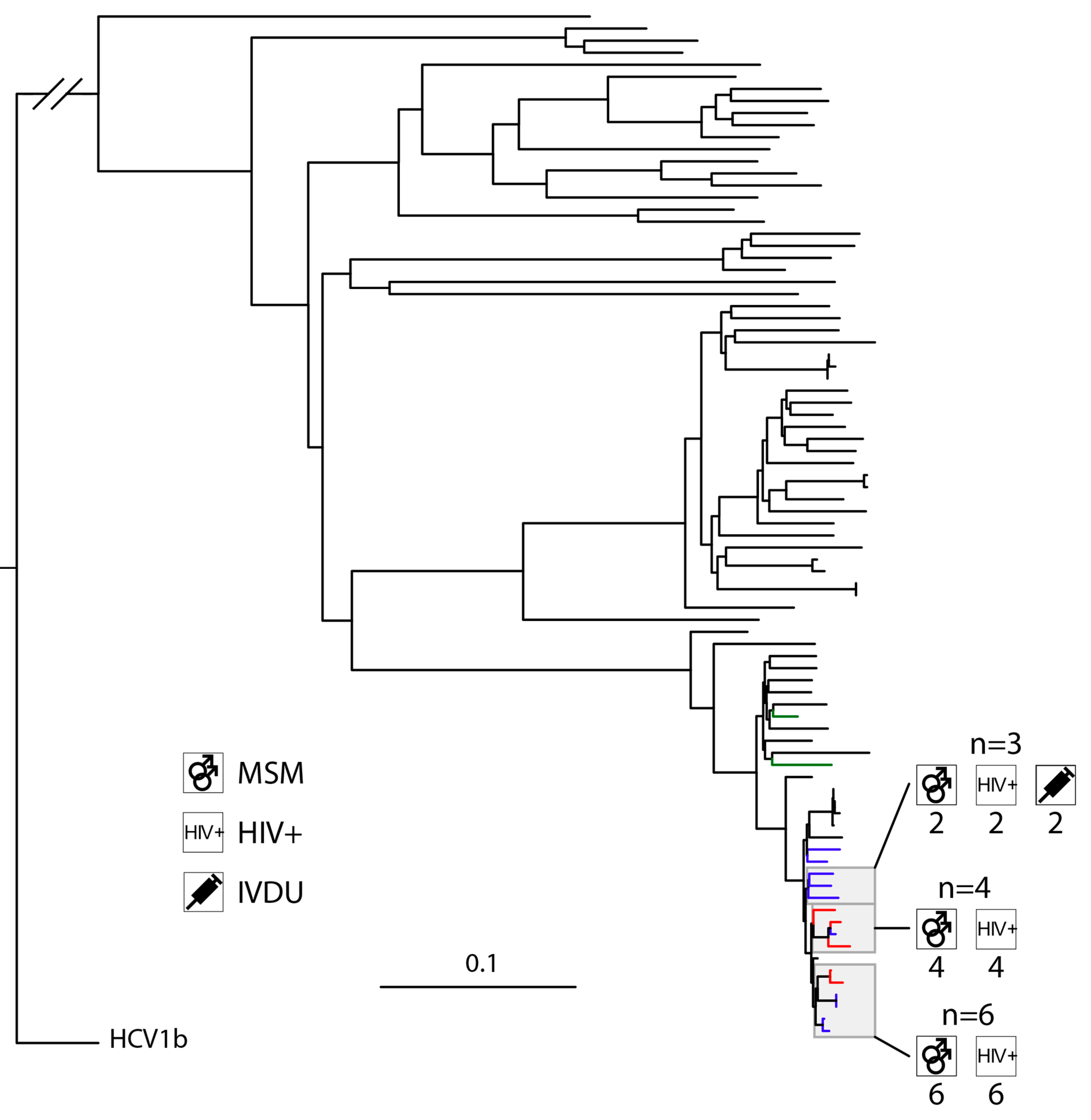 Viruses 15 02391 g002