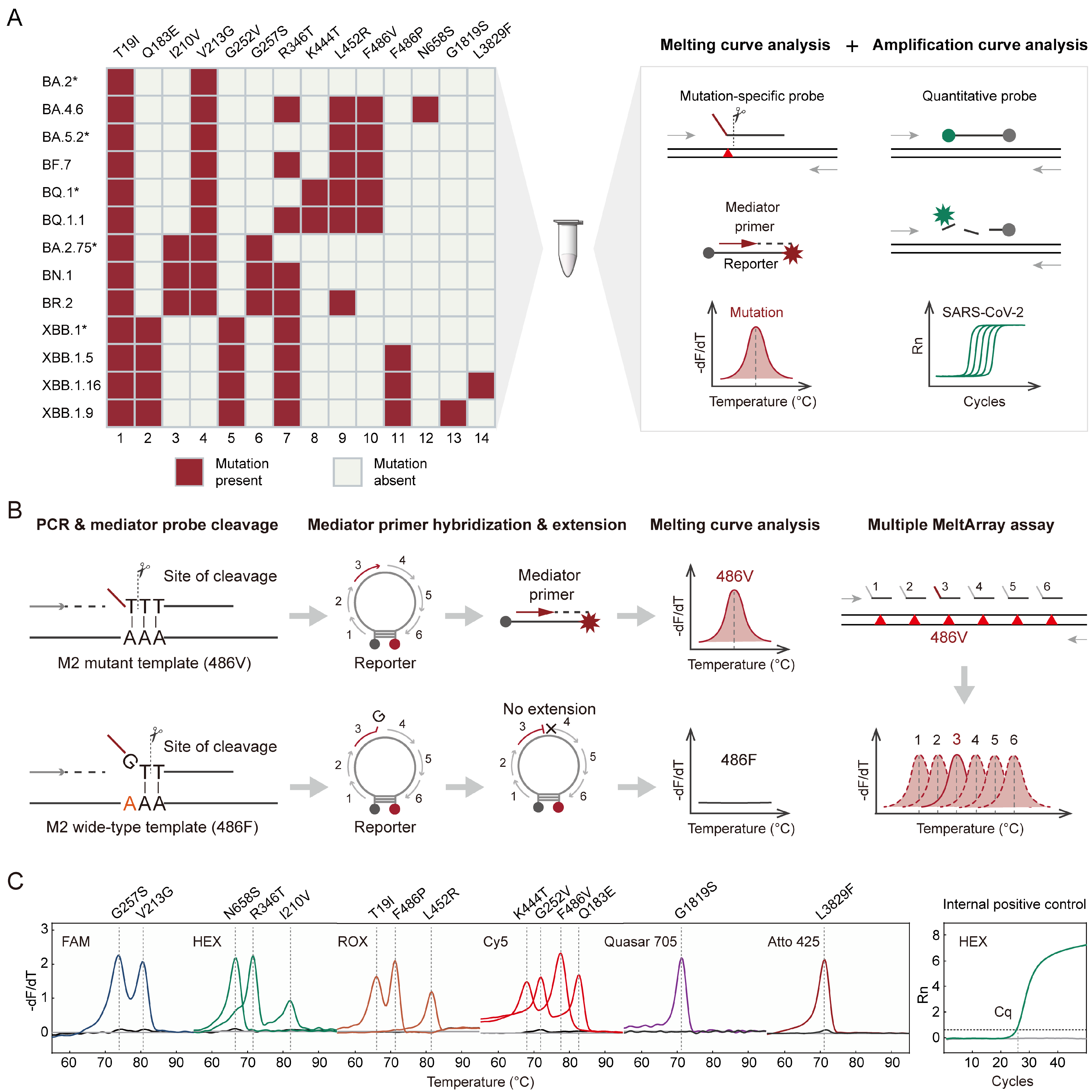 Viruses 15 02397 g001