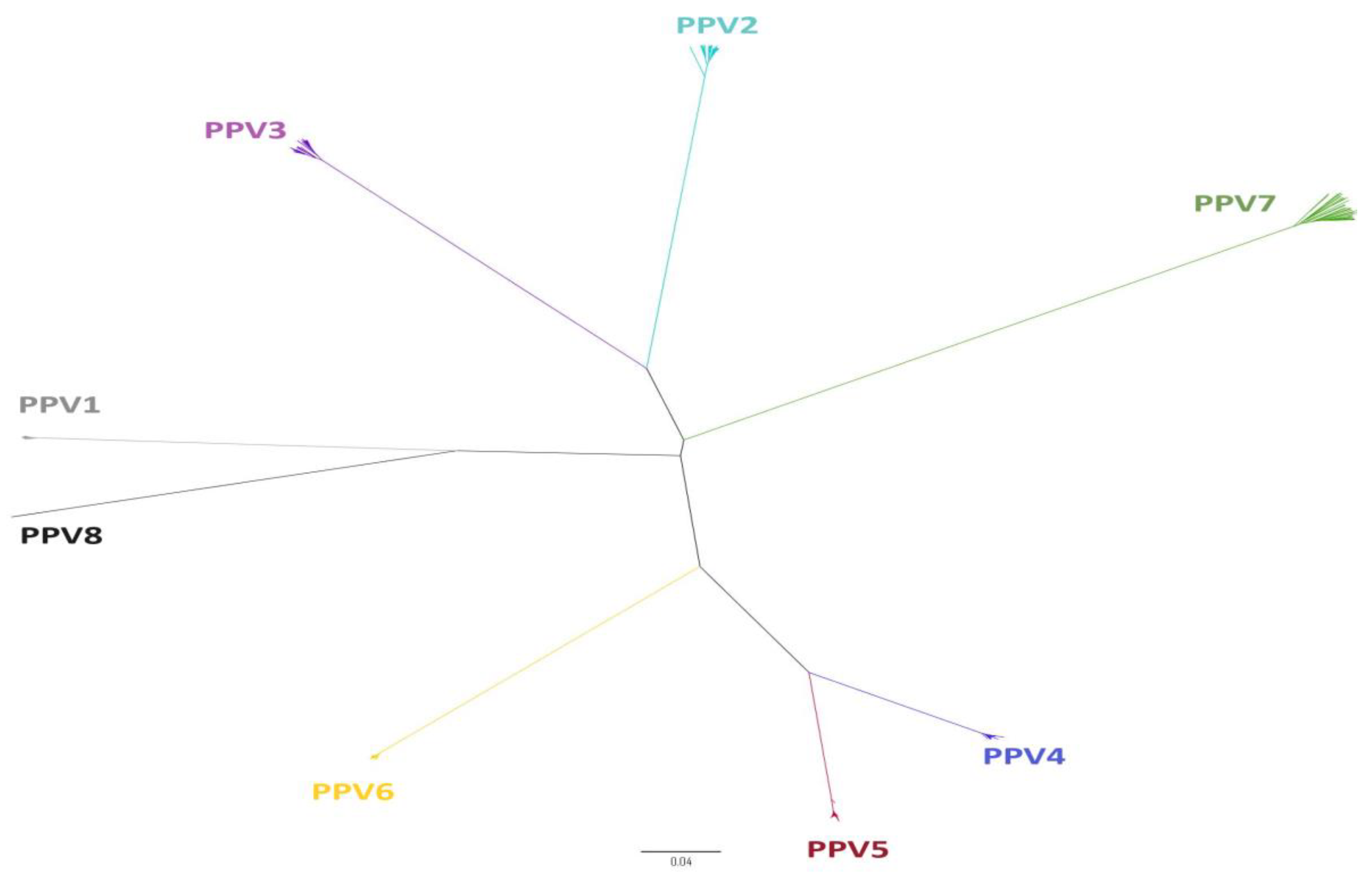 Viruses 15 02398 g001