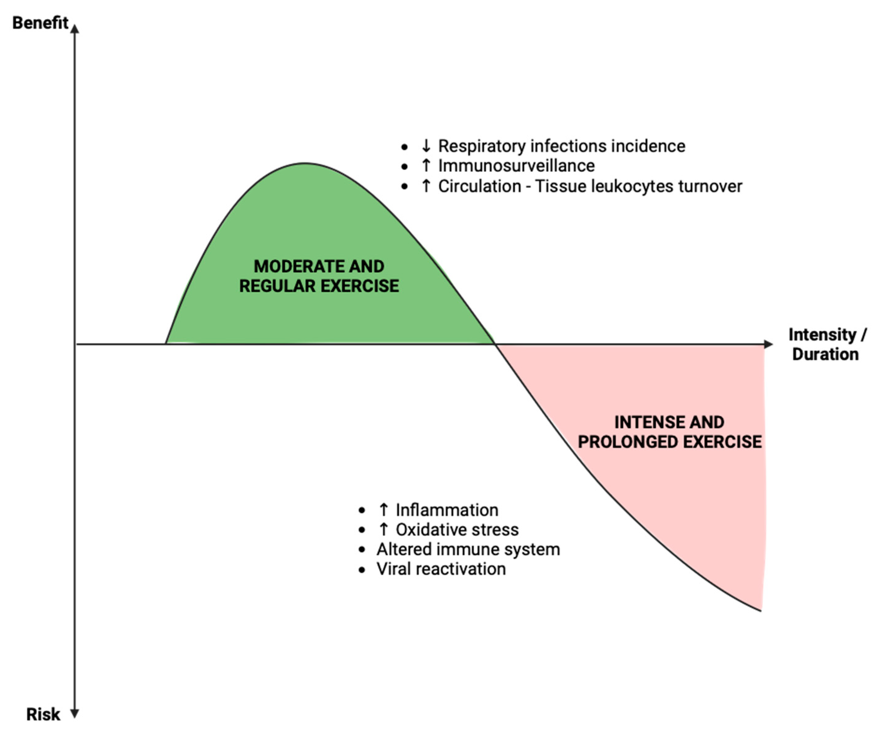 Viruses 15 02399 g005