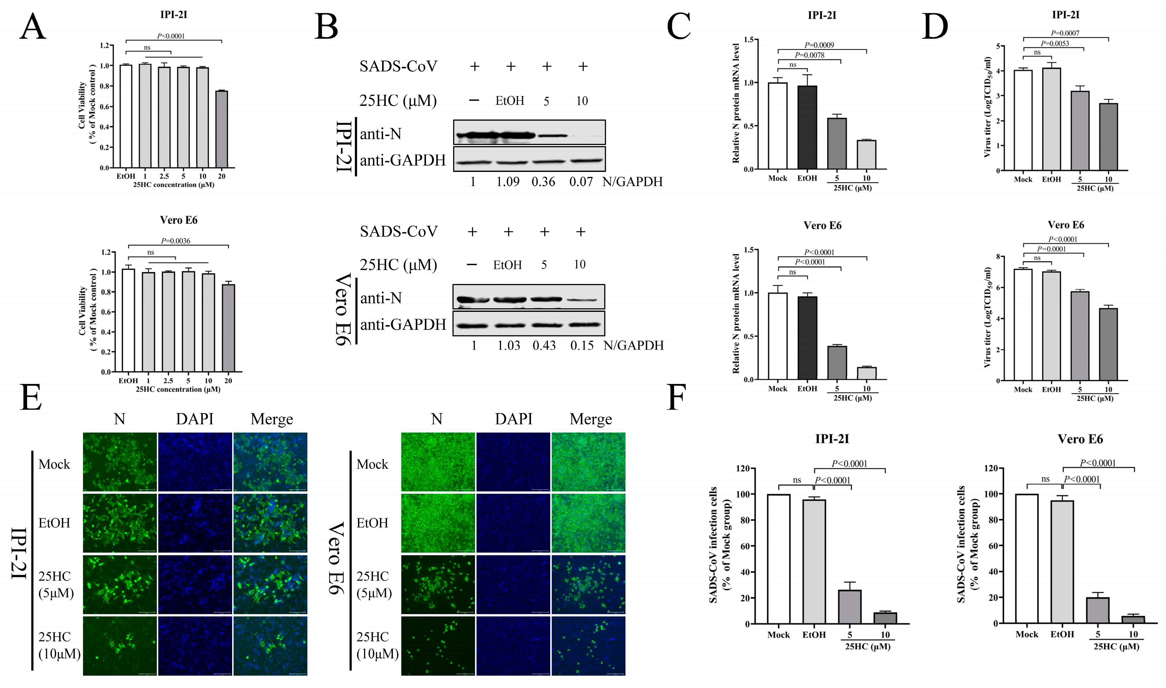 Viruses 15 02406 g006