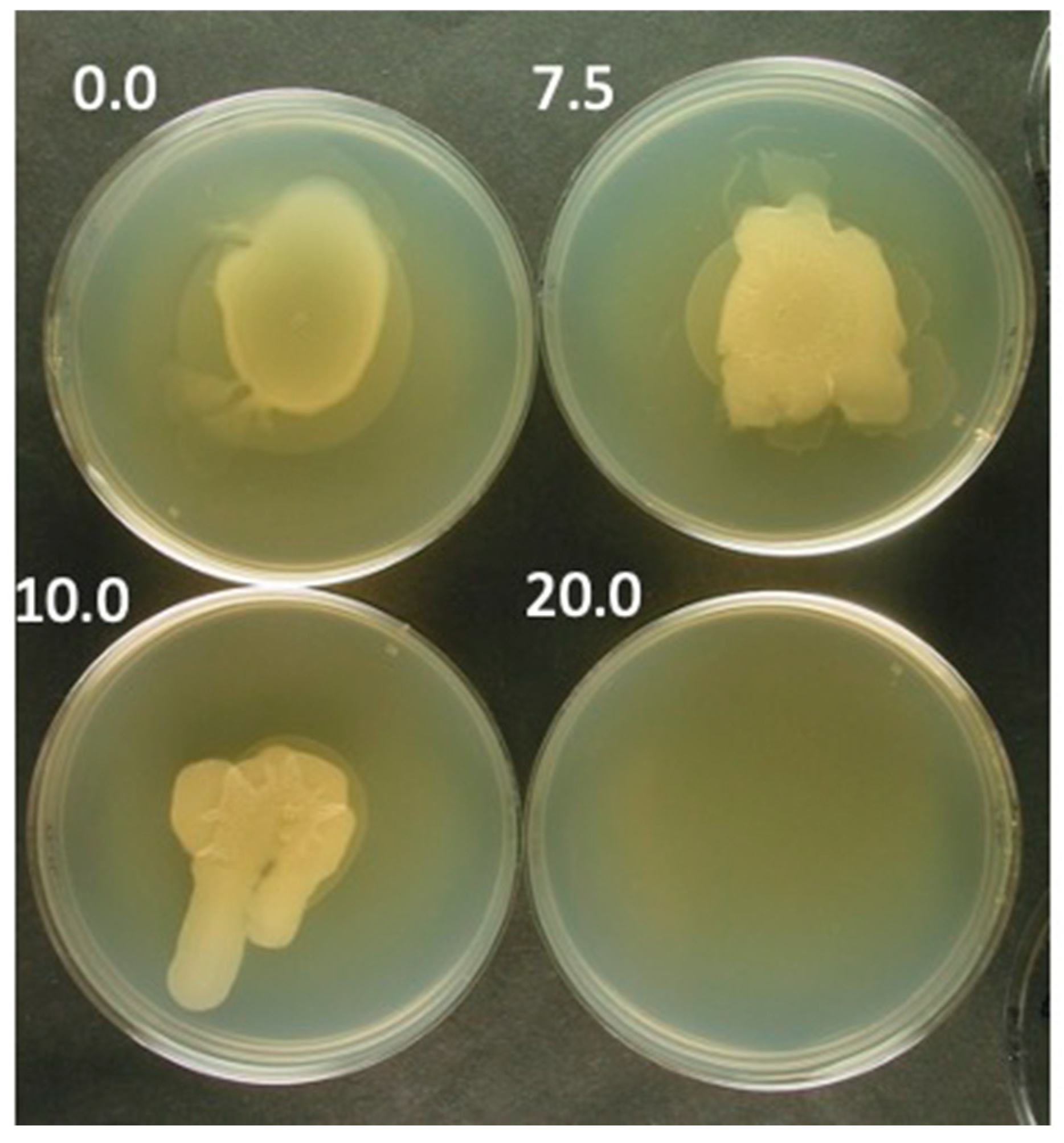 Viruses 15 02409 g002