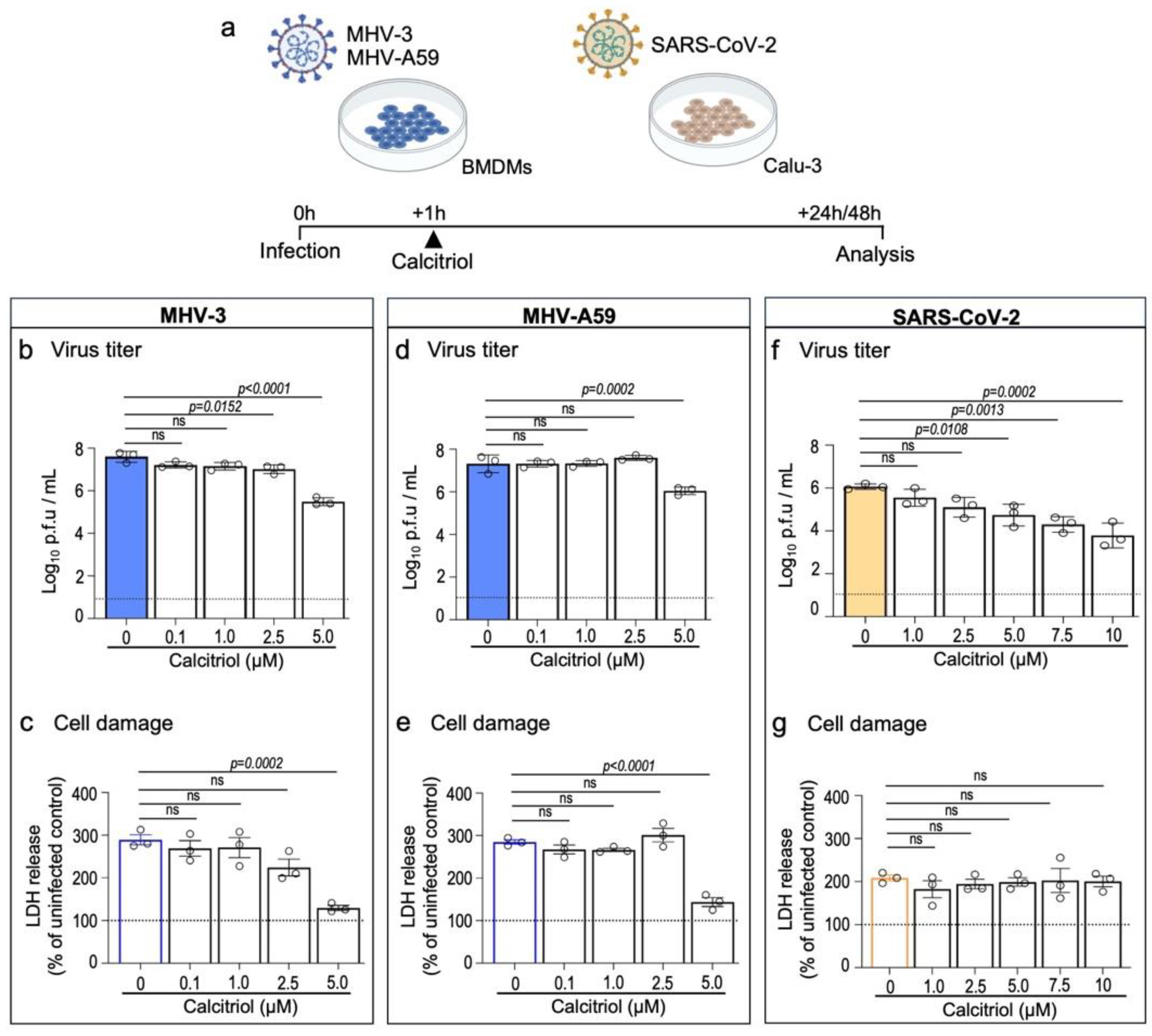 Viruses 15 02434 g001