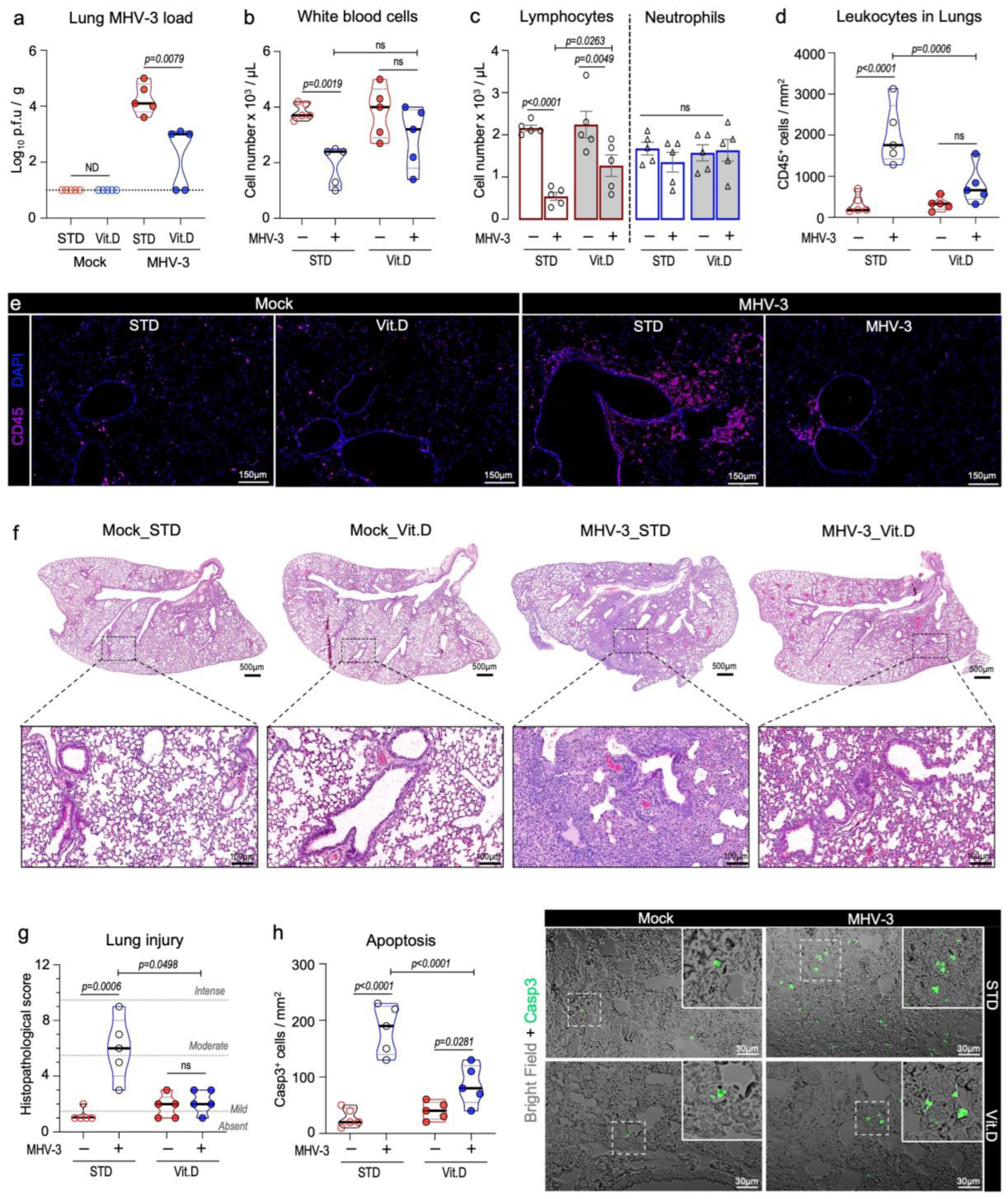Viruses 15 02434 g003