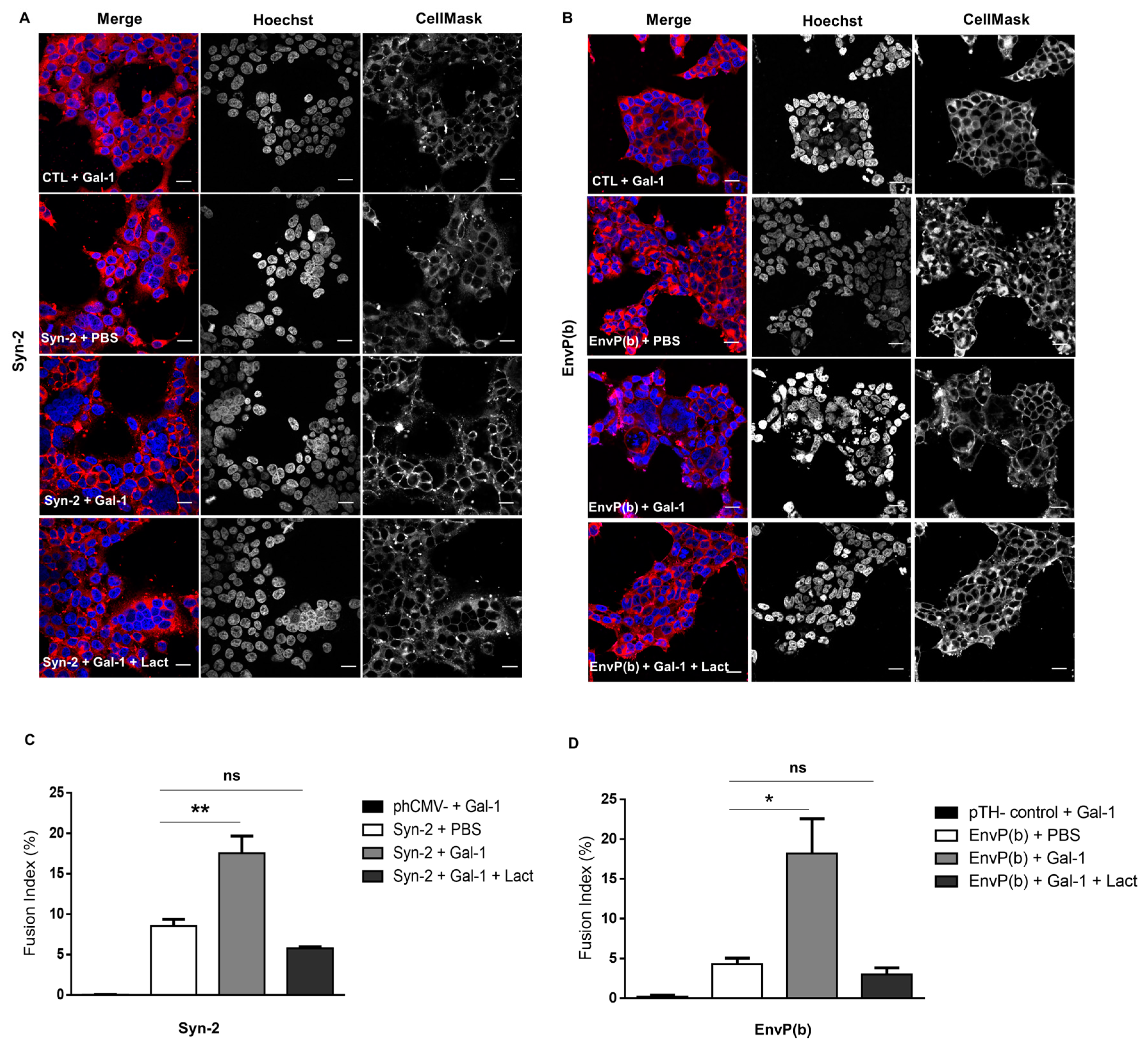 Viruses 15 02441 g001 Viruses 15 02441 g001