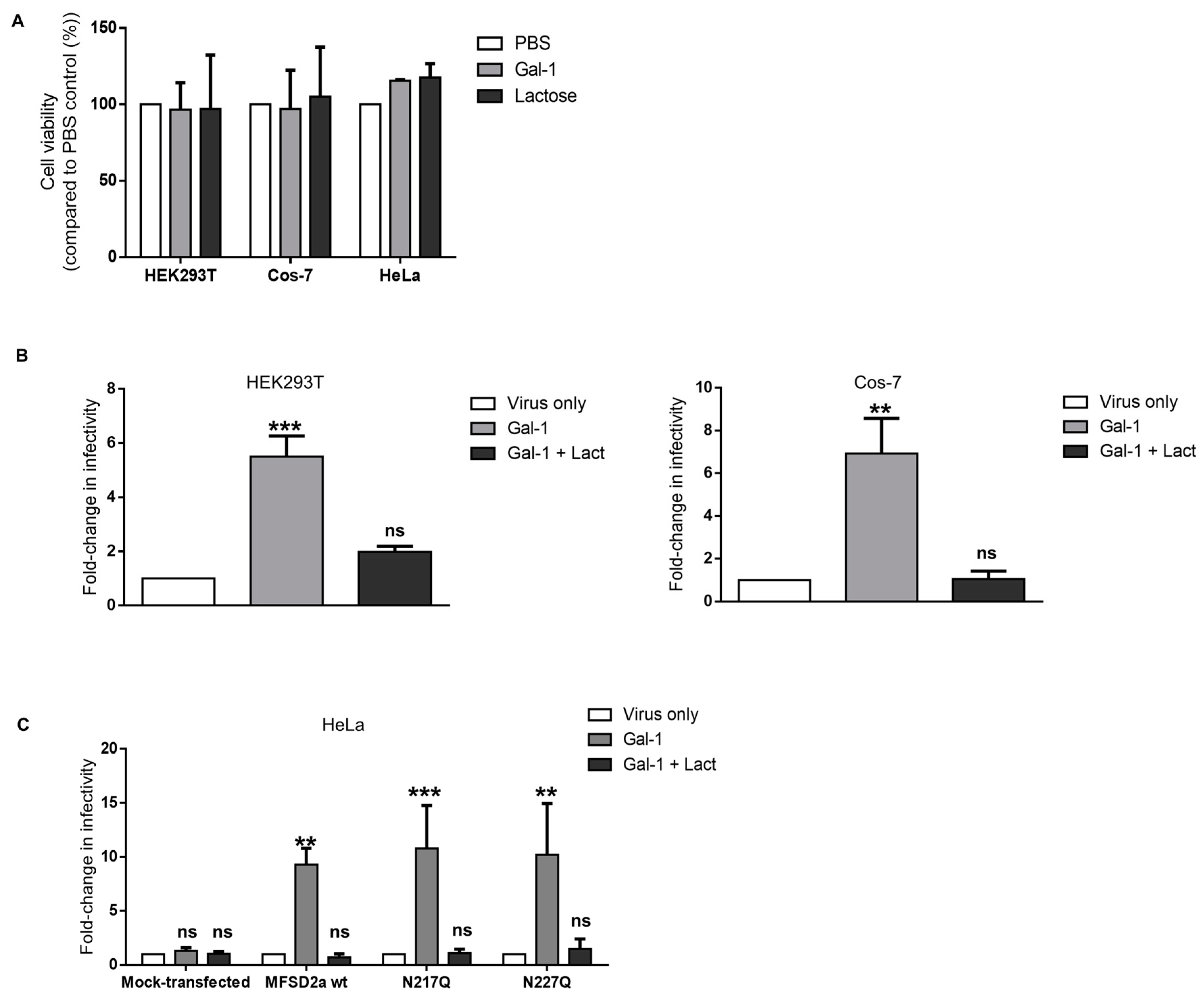 Viruses 15 02441 g003 Viruses 15 02441 g003