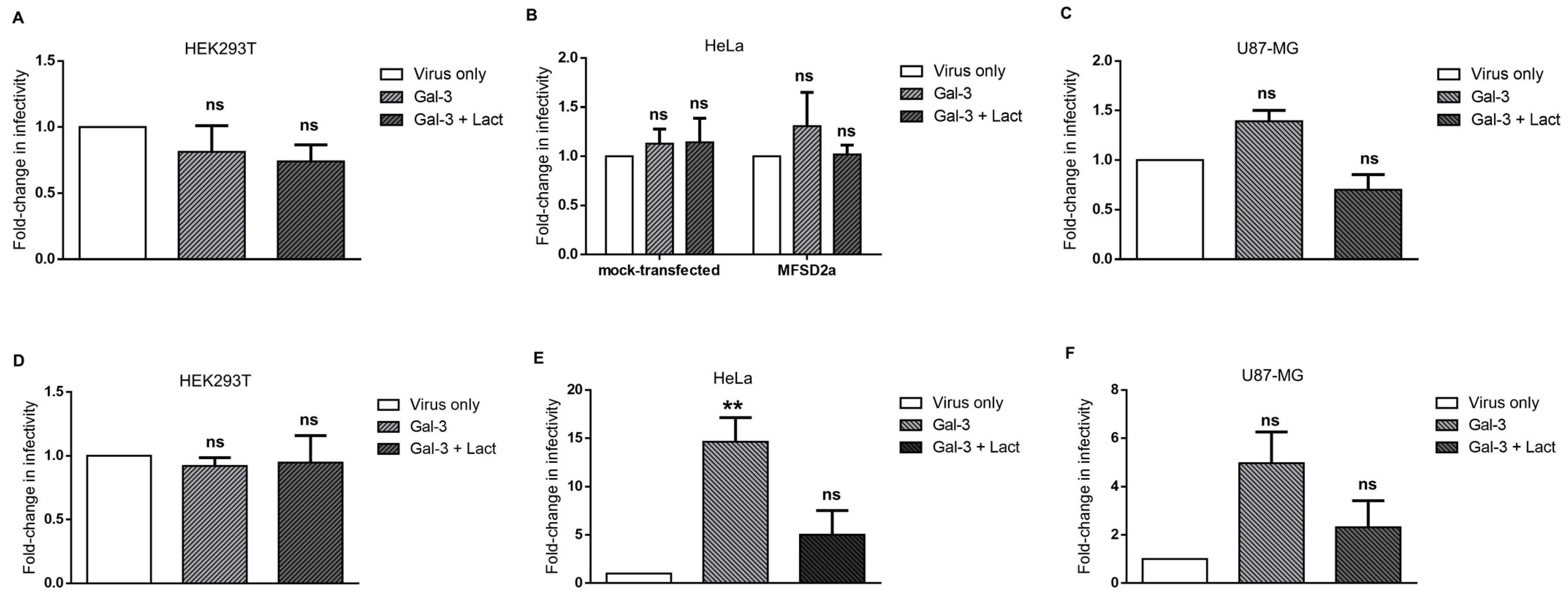 Viruses 15 02441 g007 Viruses 15 02441 g007