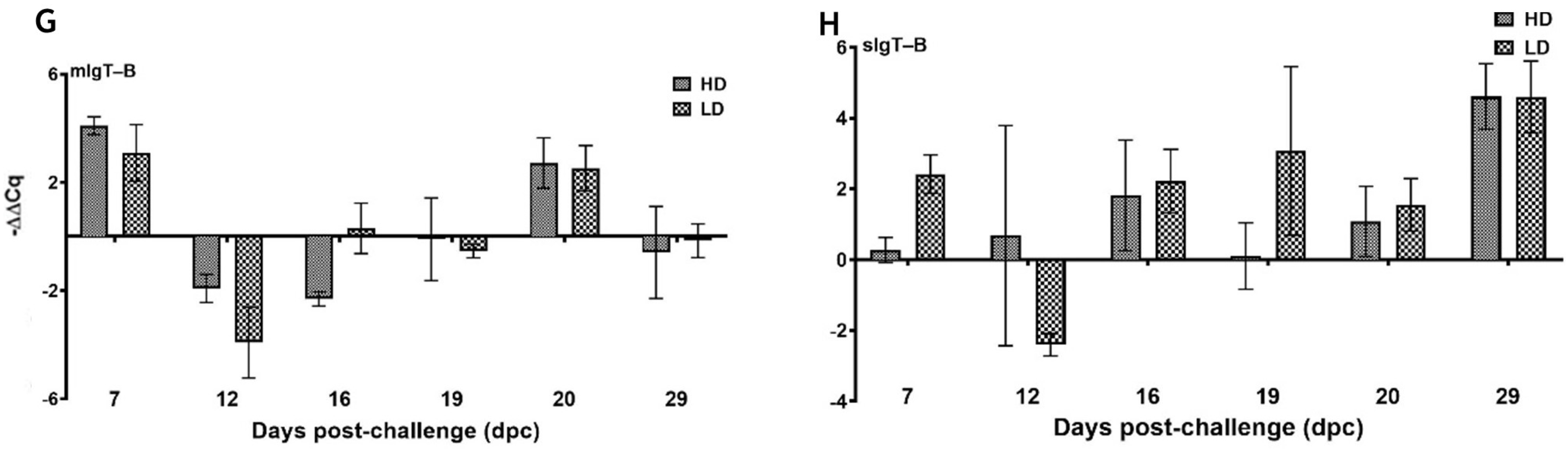 Viruses 15 02450 g009b