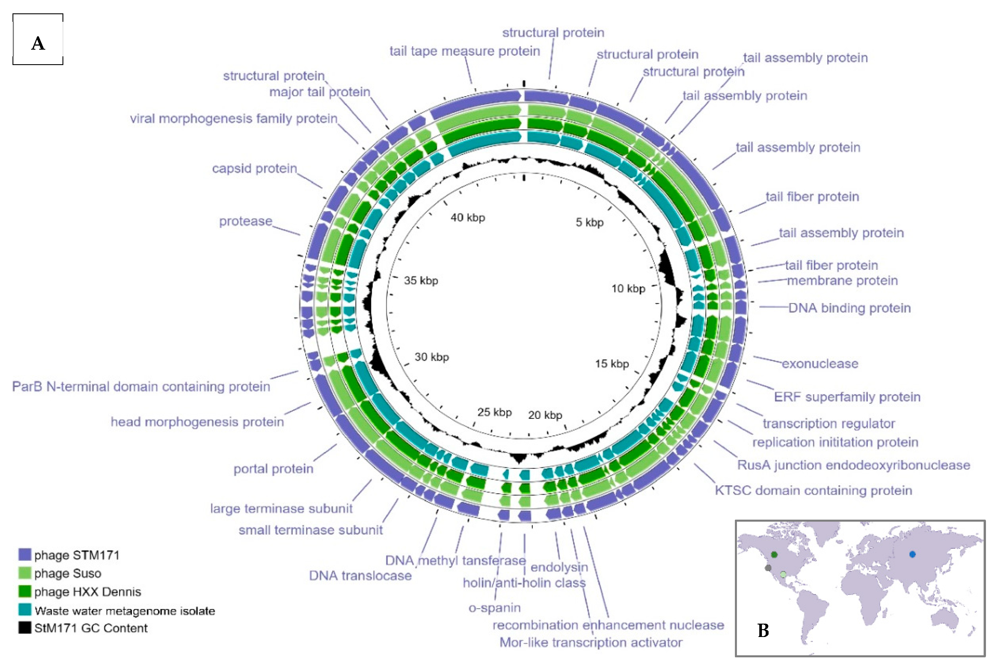 Viruses 15 02455 g003