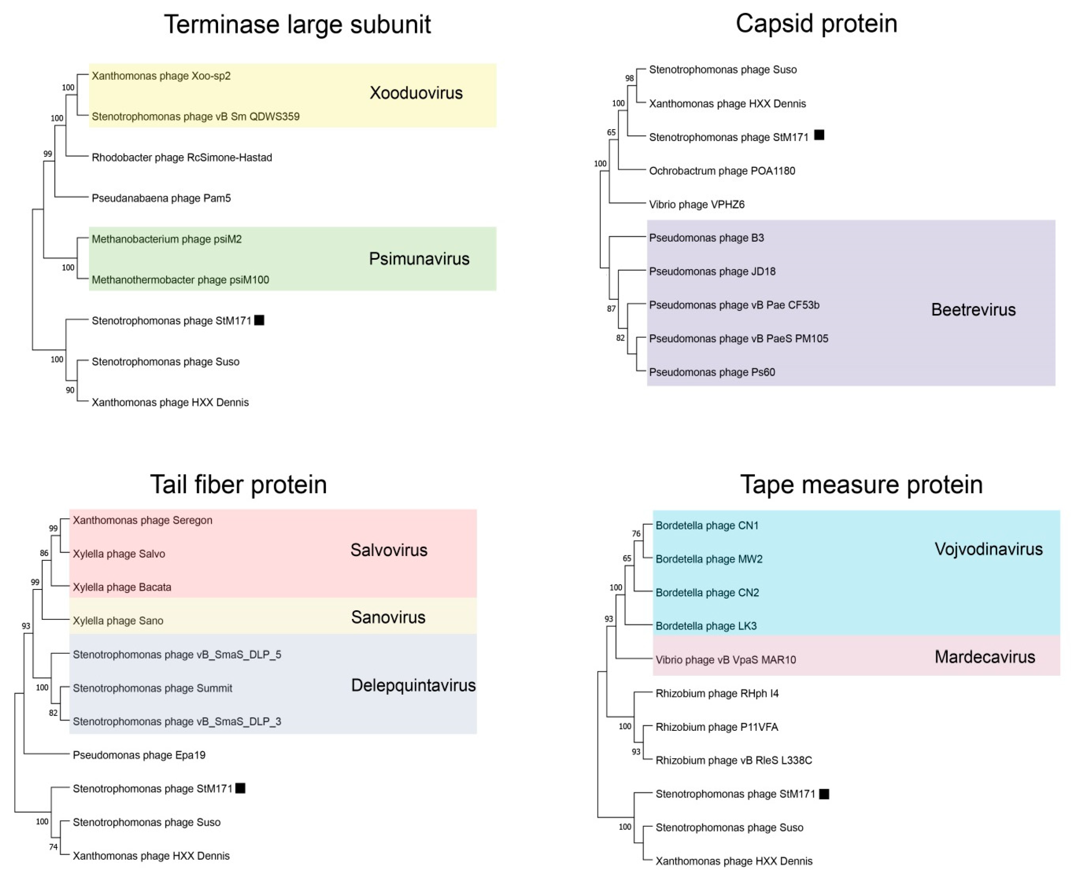 Viruses 15 02455 g005