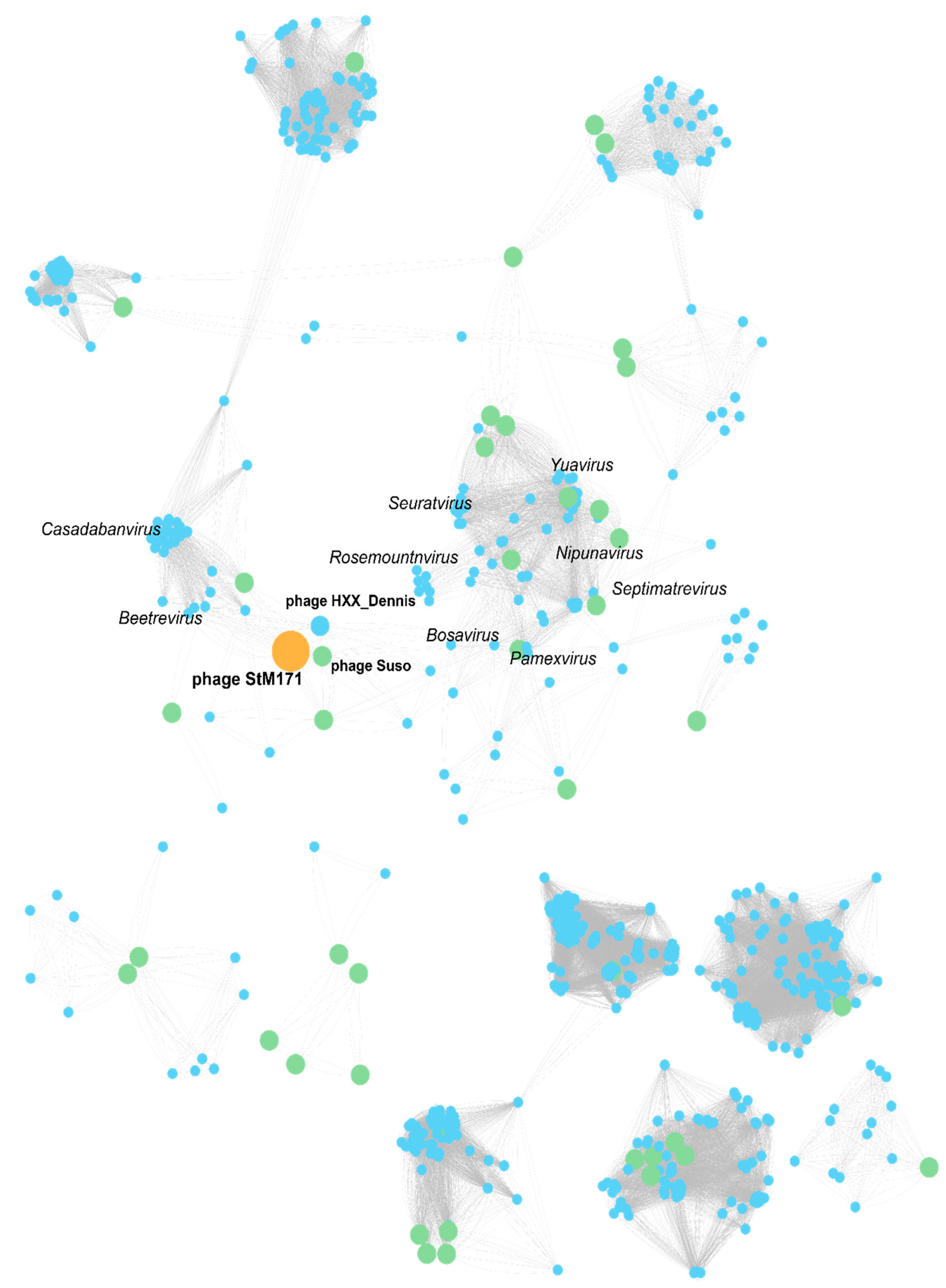 Viruses 15 02455 g006