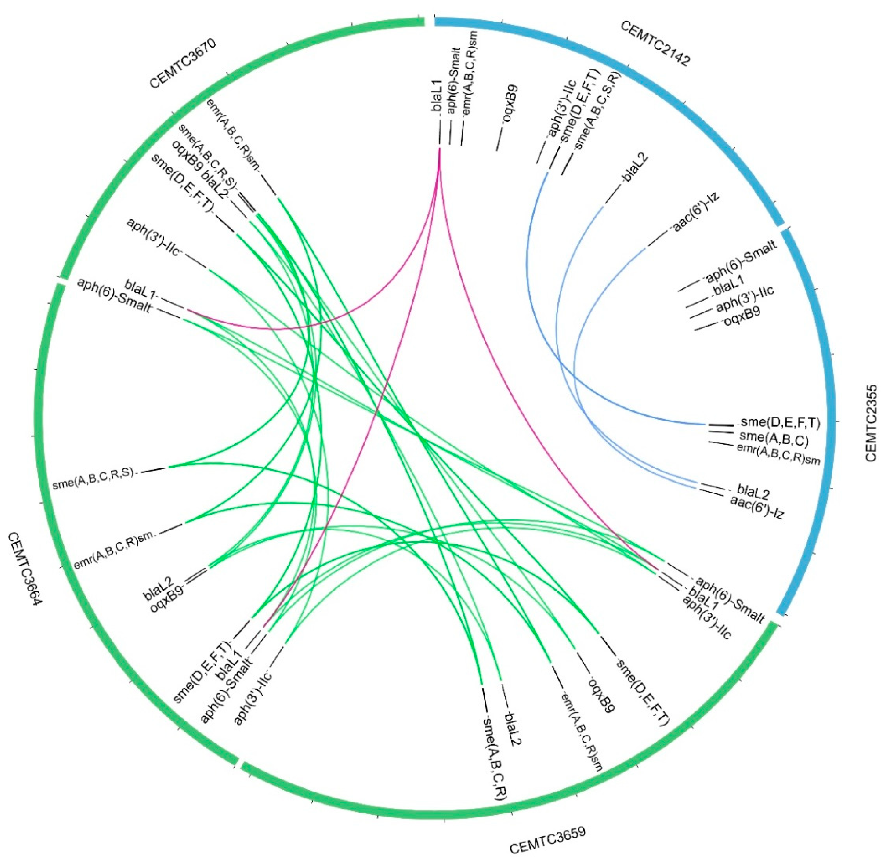 Viruses 15 02455 g007