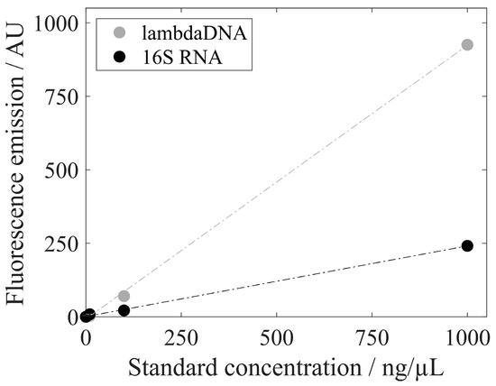Viruses 16 00013 g006