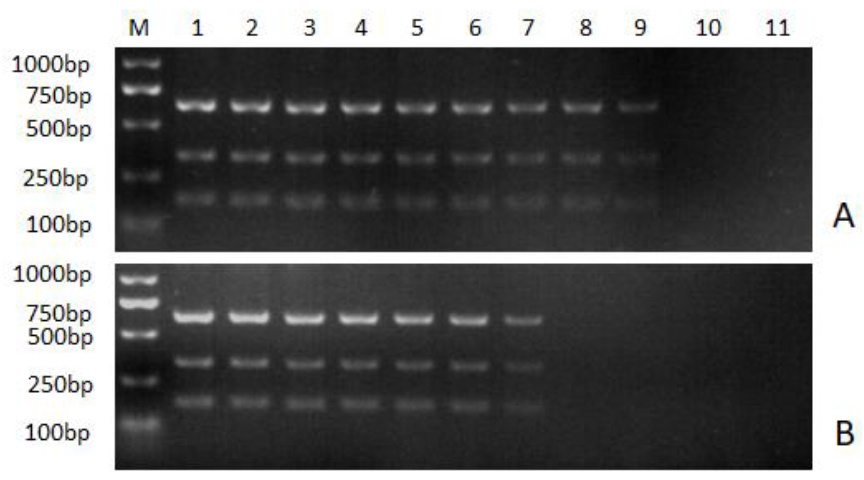 Viruses 16 00015 g004