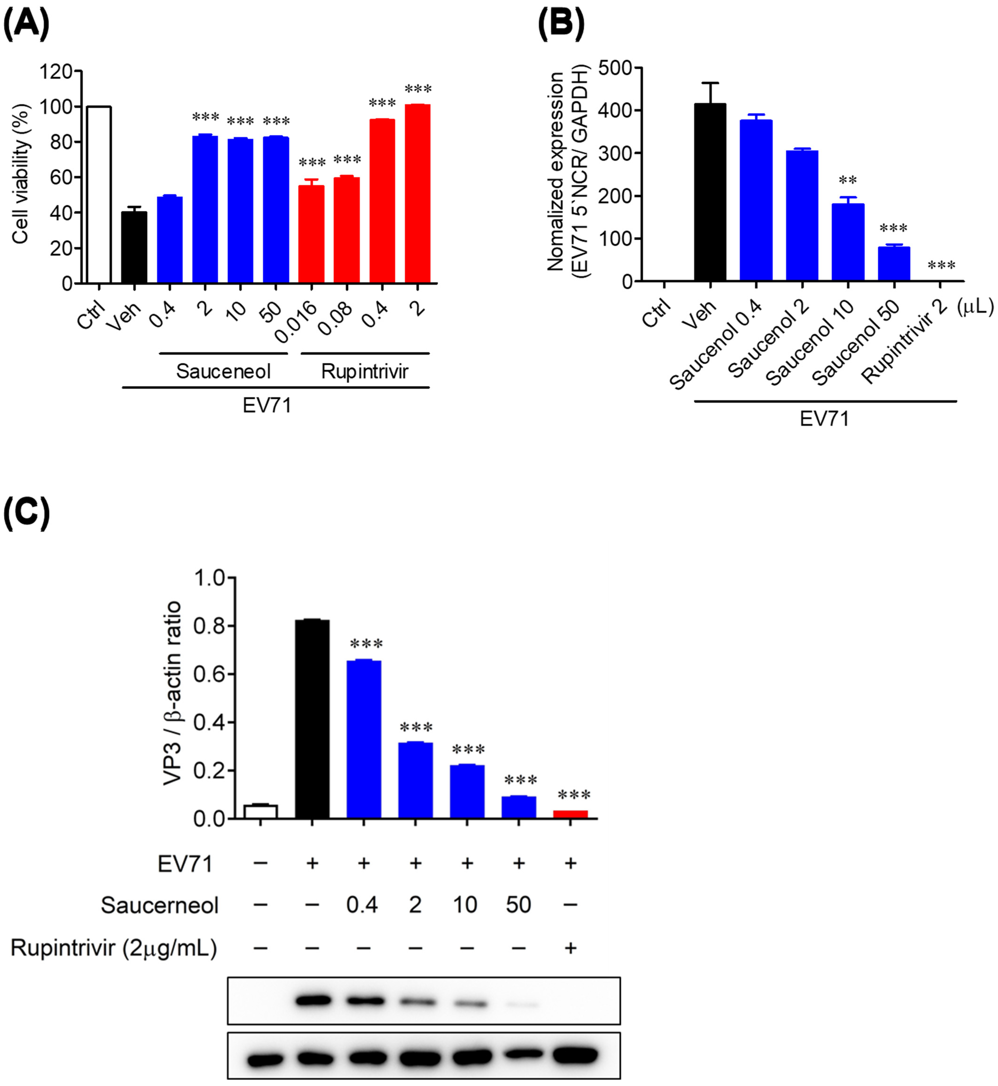 Viruses 16 00016 g001