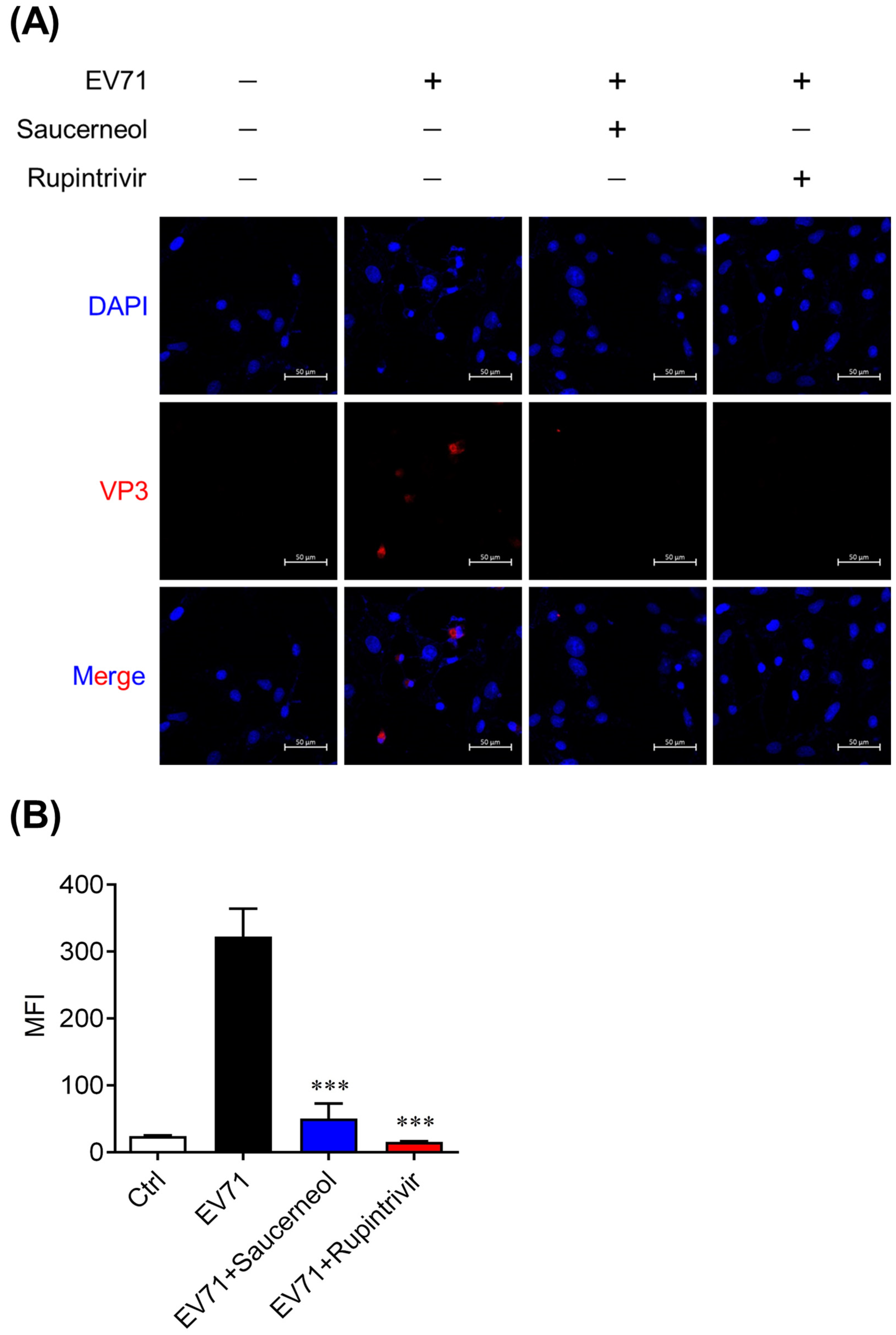 Viruses 16 00016 g002