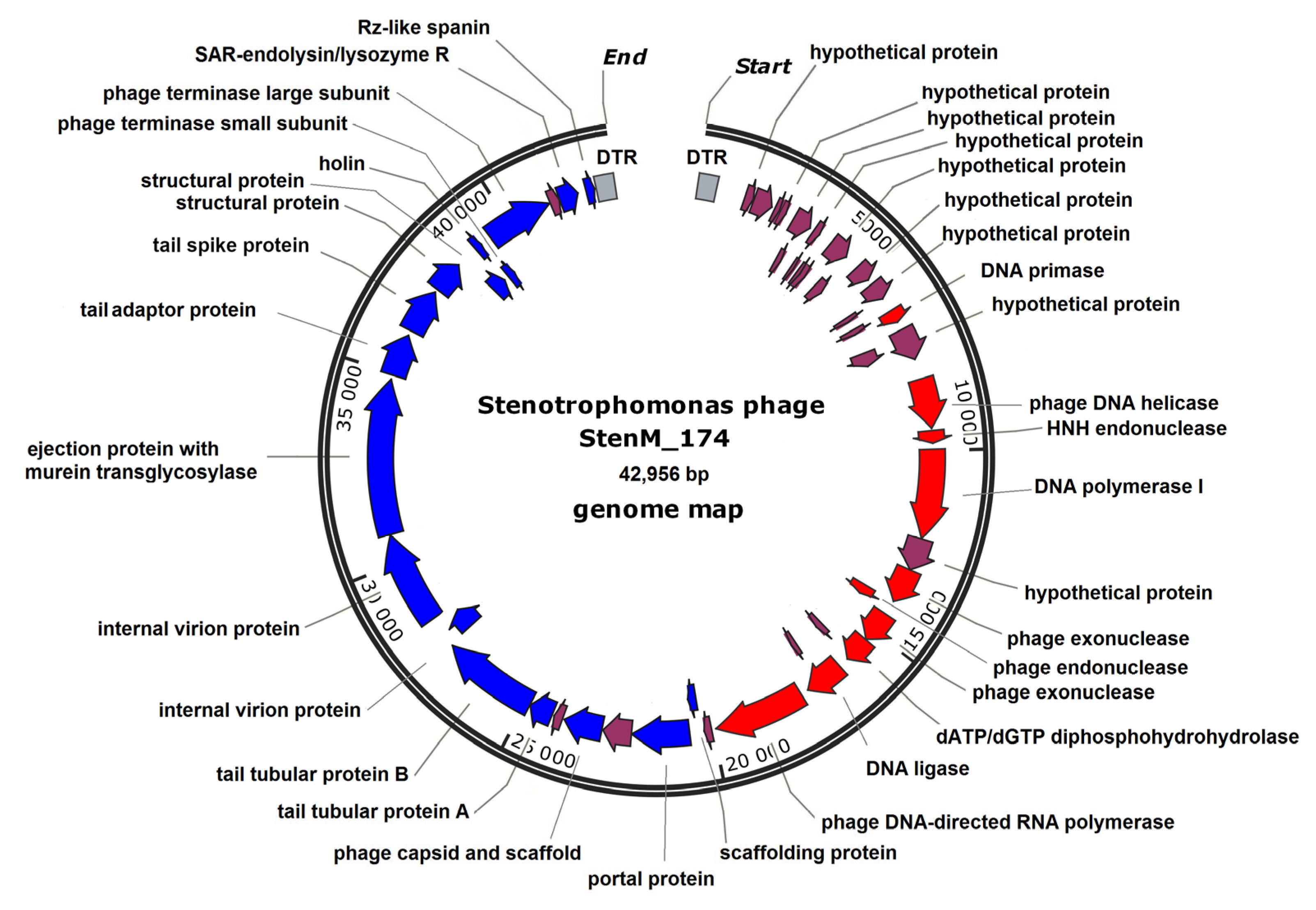 Viruses 16 00018 g003