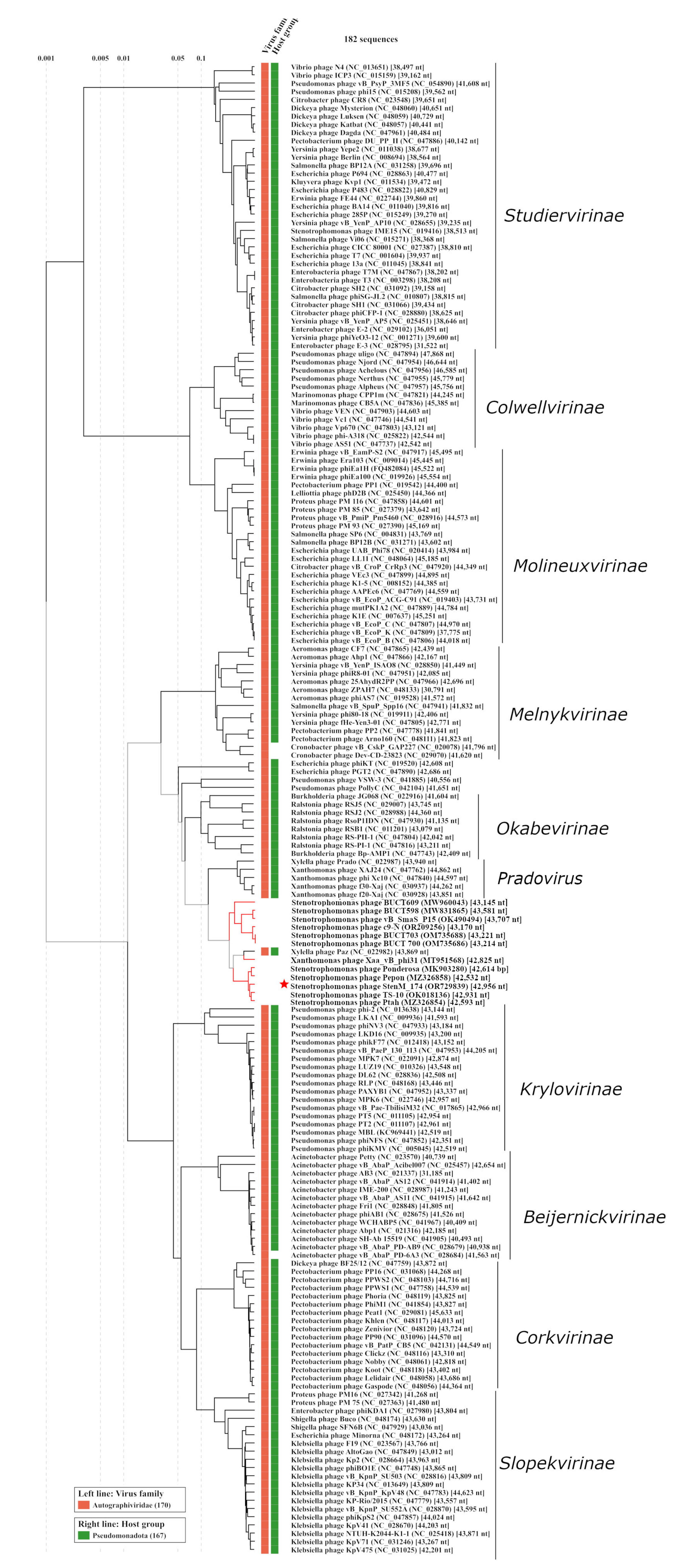 Viruses 16 00018 g006