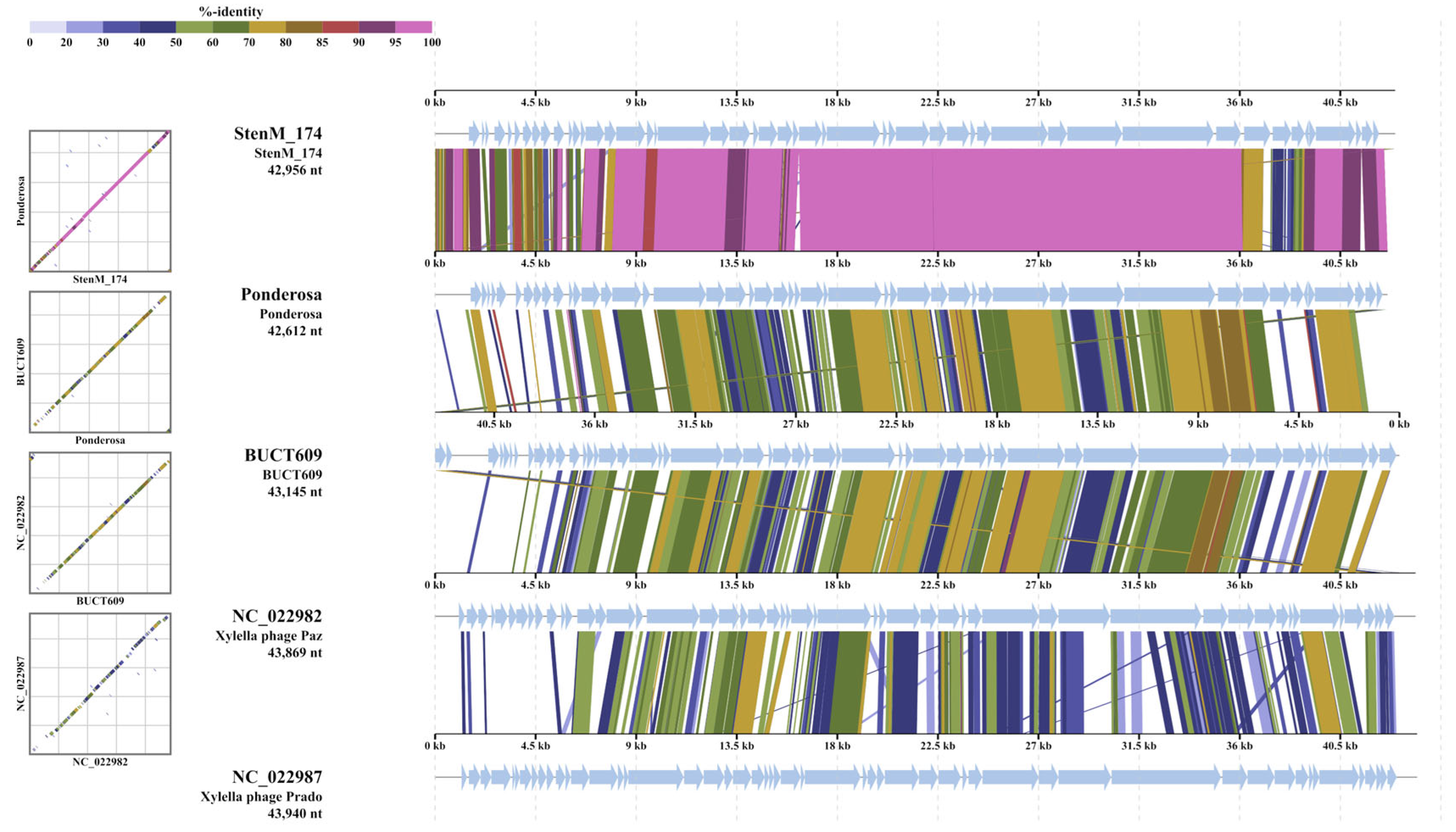 Viruses 16 00018 g008