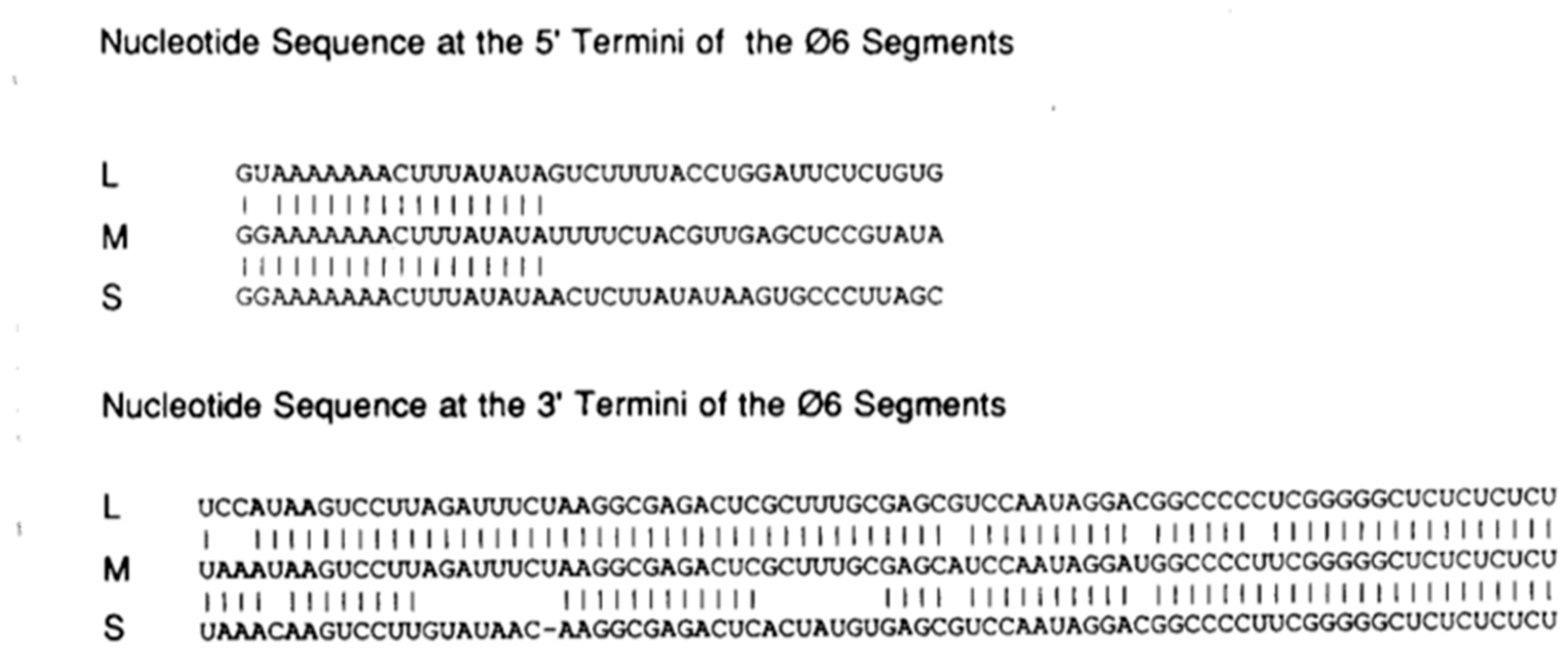 Viruses 16 00022 g002