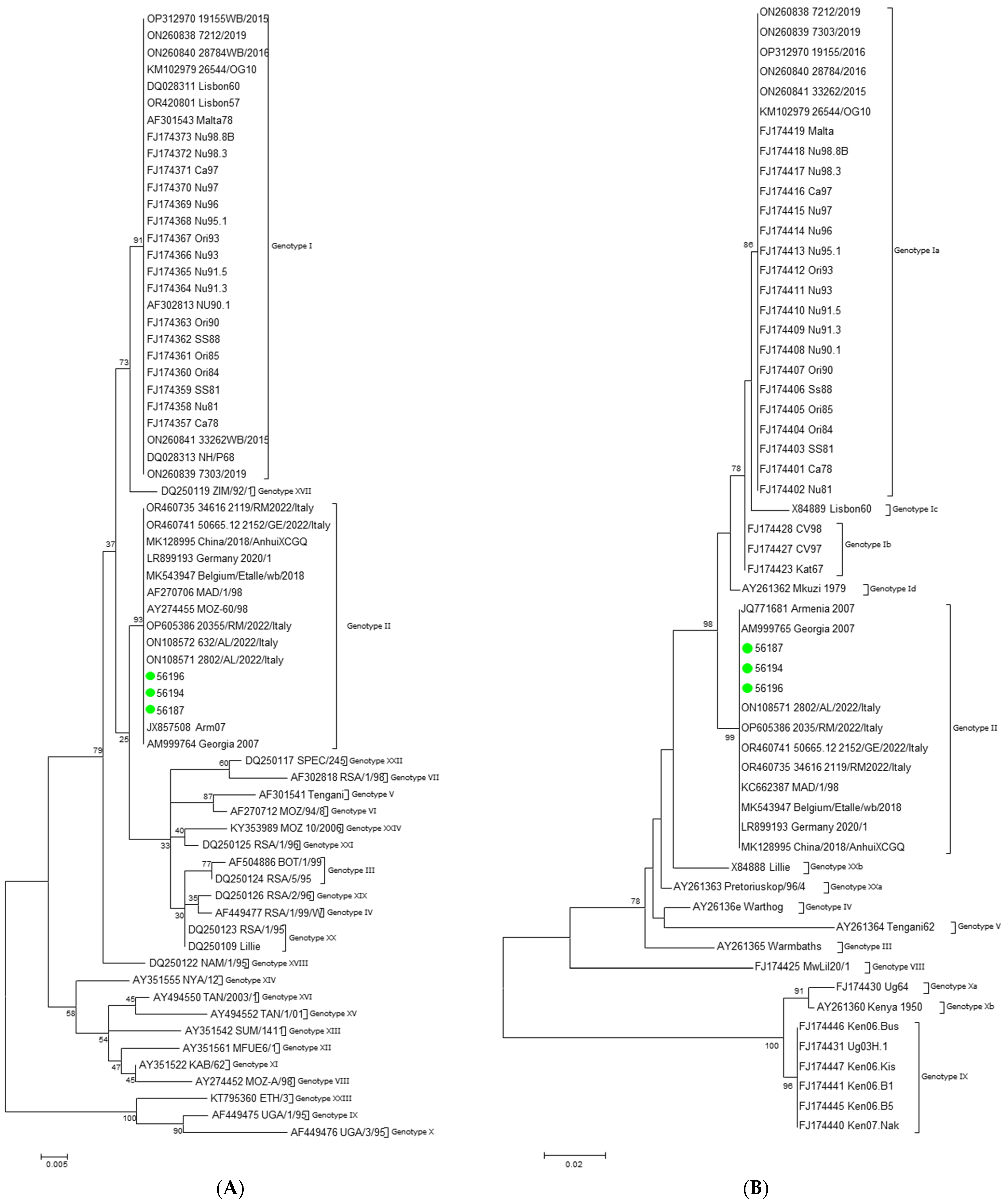 Viruses 16 00032 g001