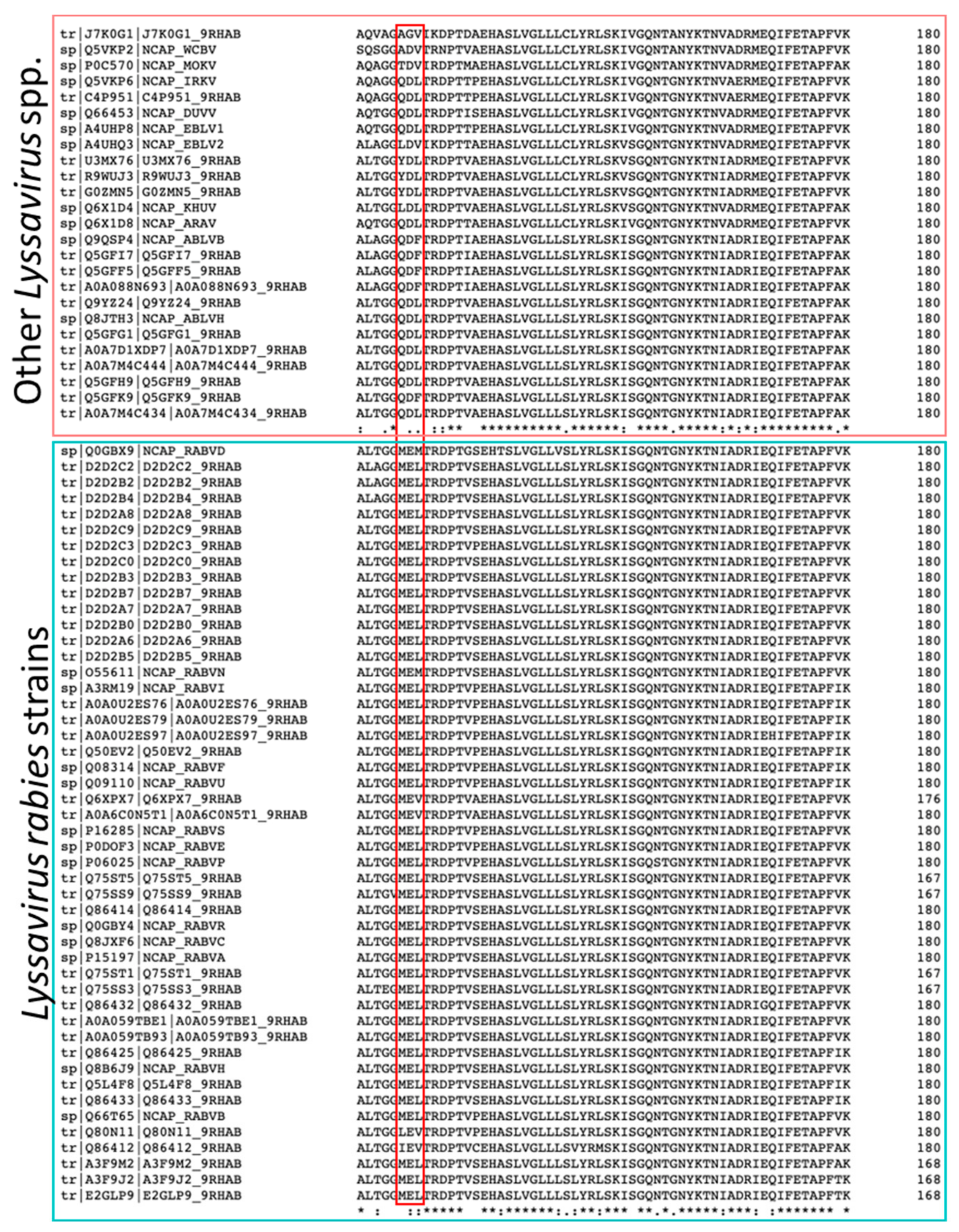 Viruses 16 00033 g003