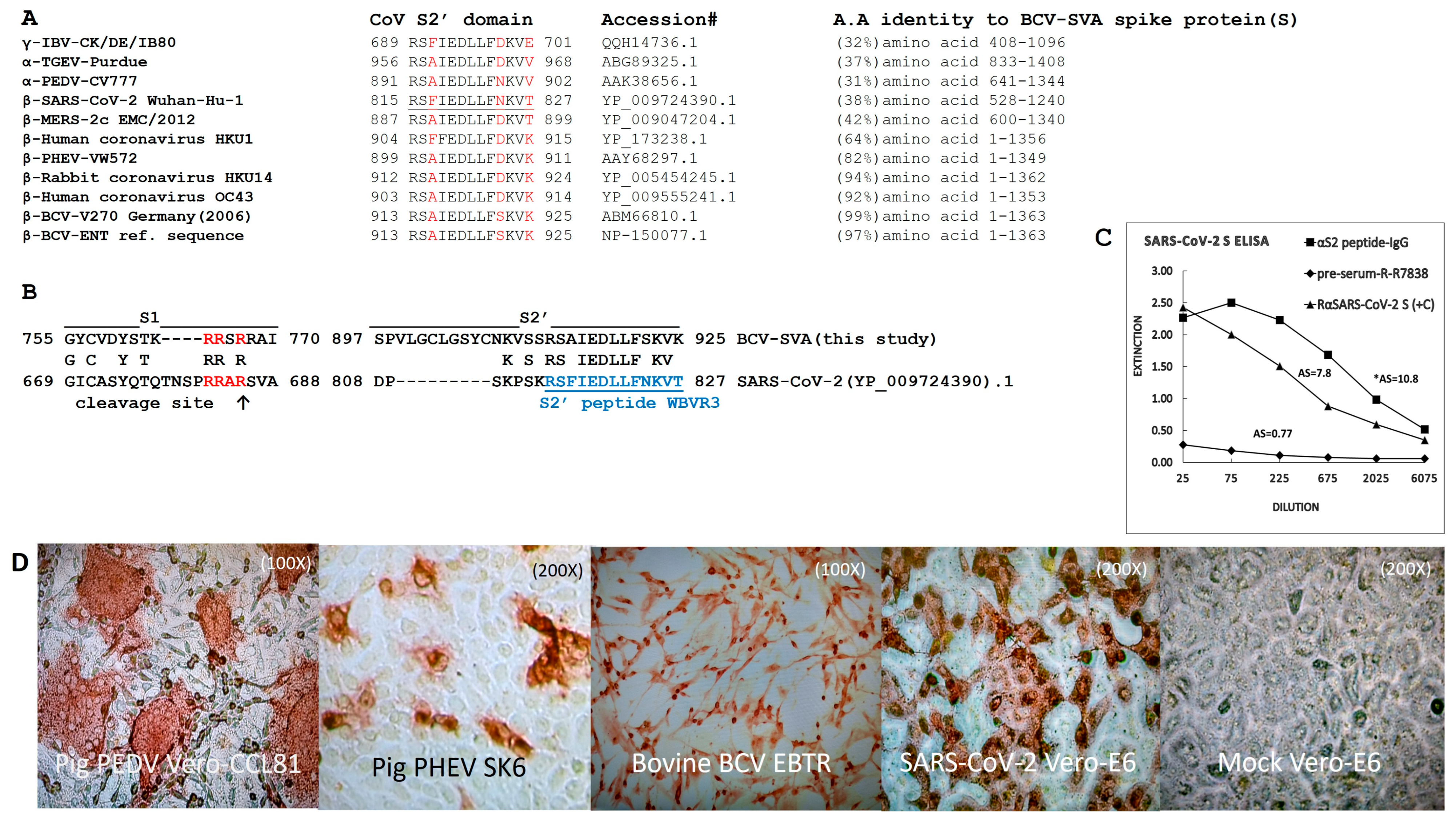 Viruses 16 00034 g001 Viruses 16 00034 g001